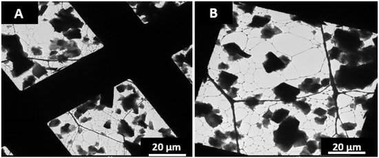 Carbon 04 00027 g0a1