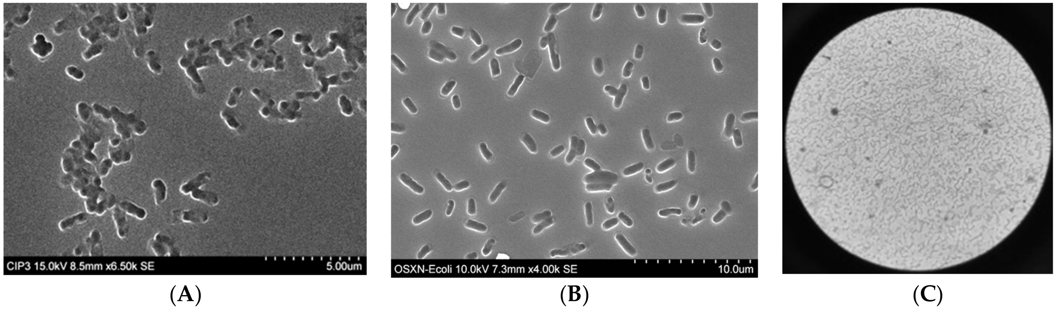 Carbon 04 00029 g001