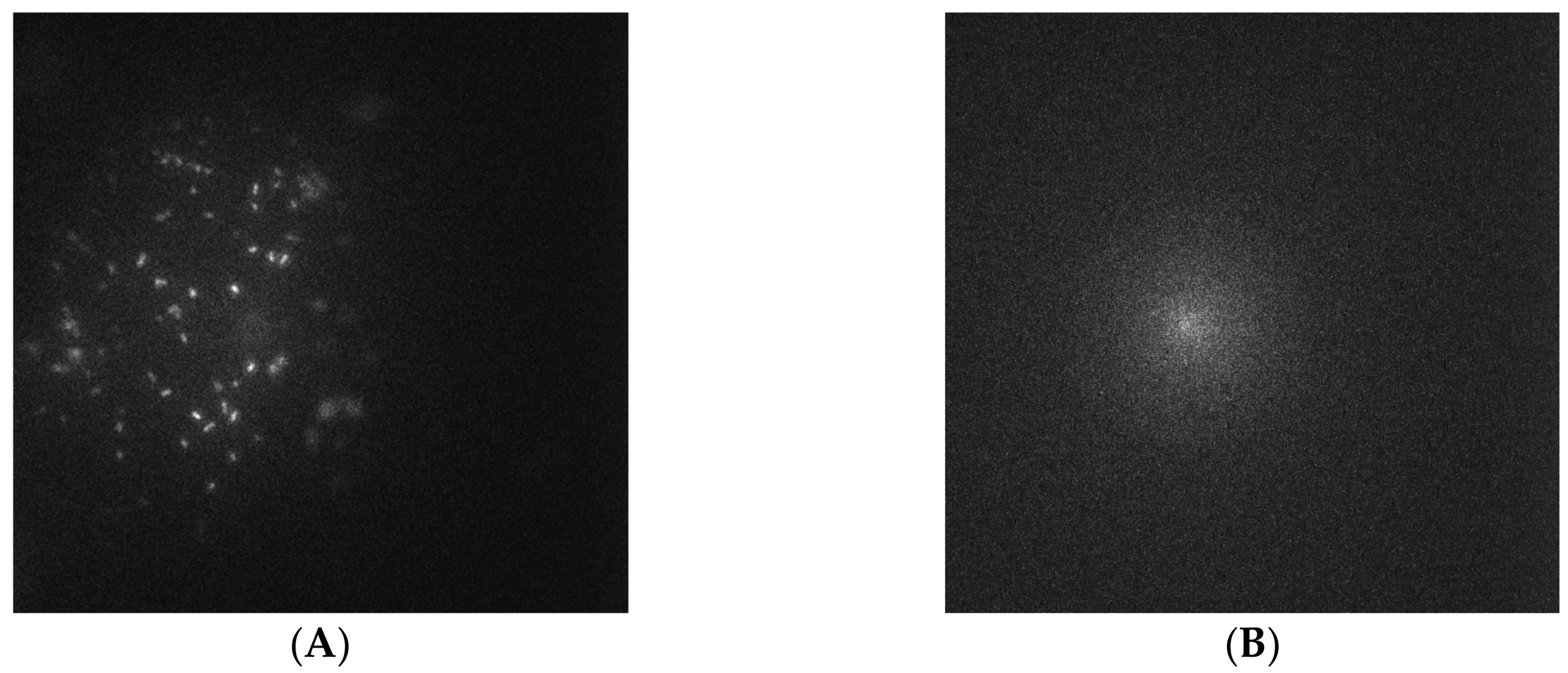 Carbon 04 00029 g002