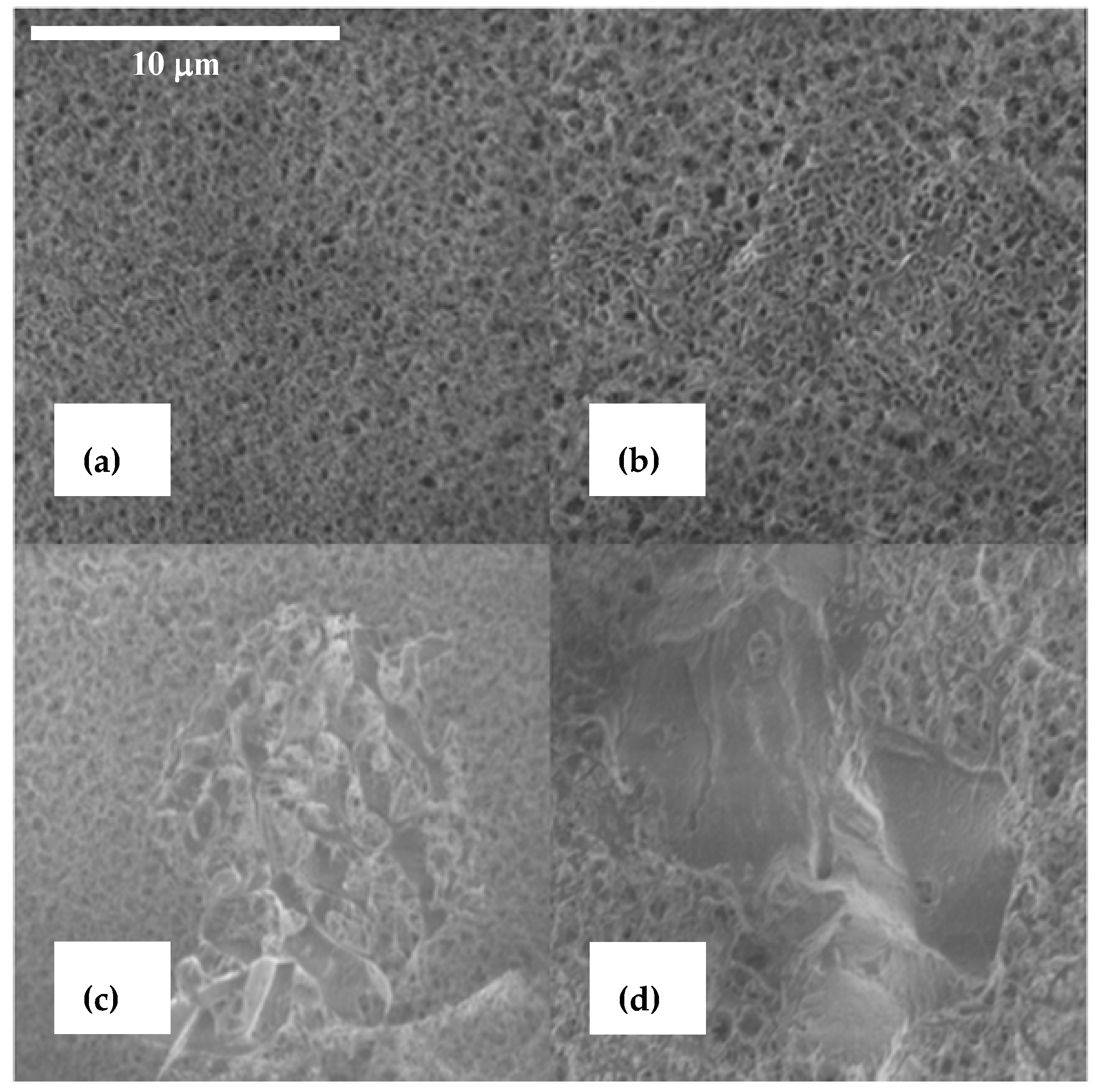 Carbon 04 00035 g003