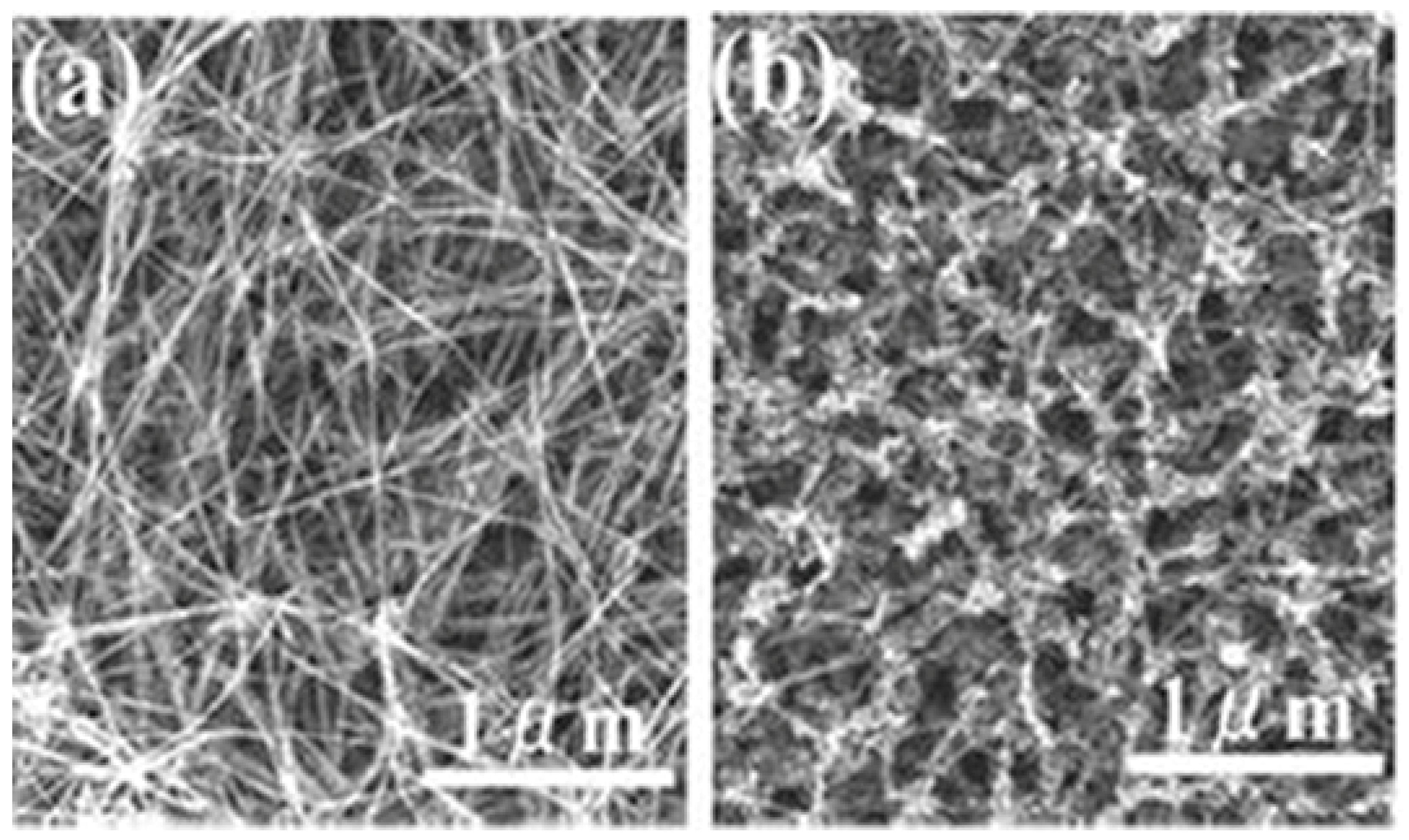 Carbon 05 00003 g004 Carbon 05 00003 g004