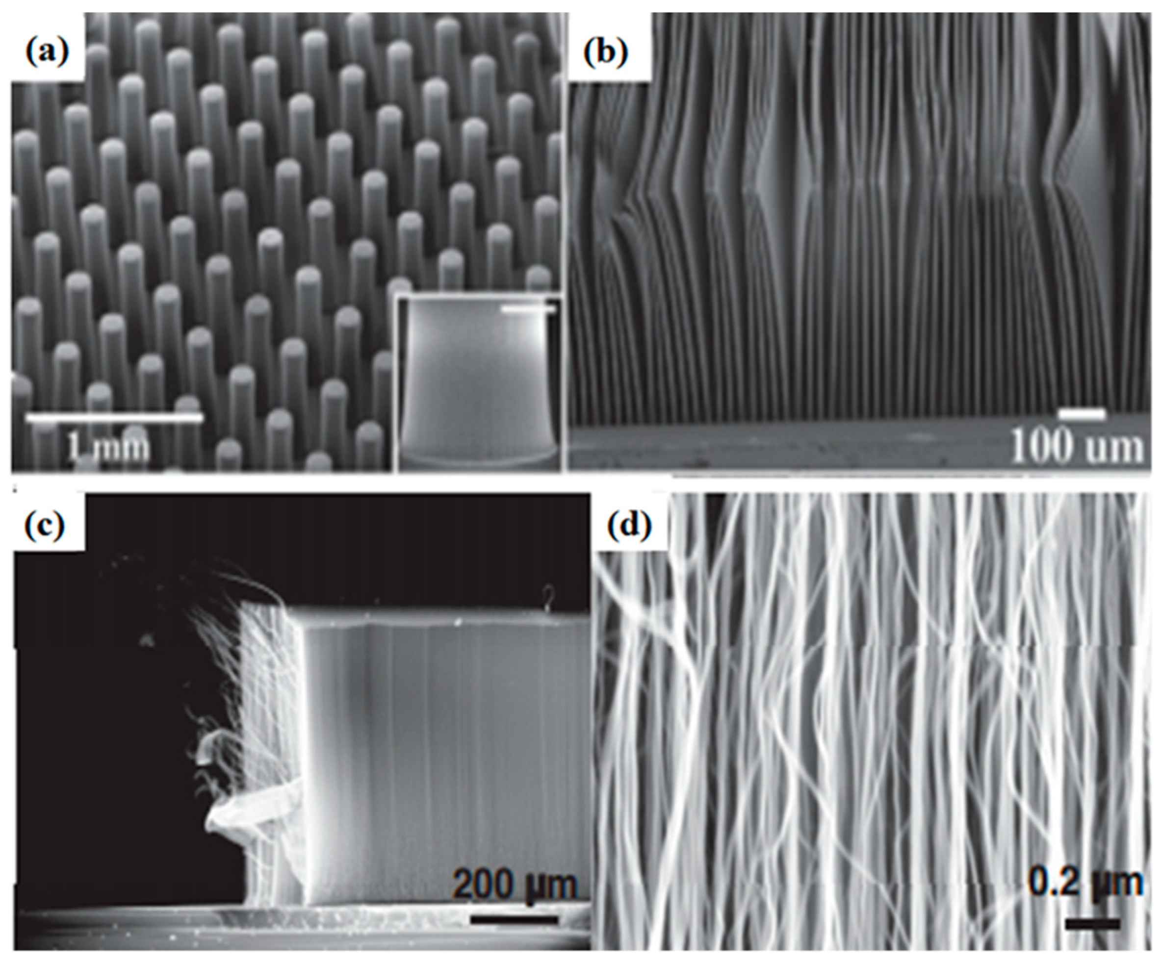 Carbon 05 00003 g007 Carbon 05 00003 g007