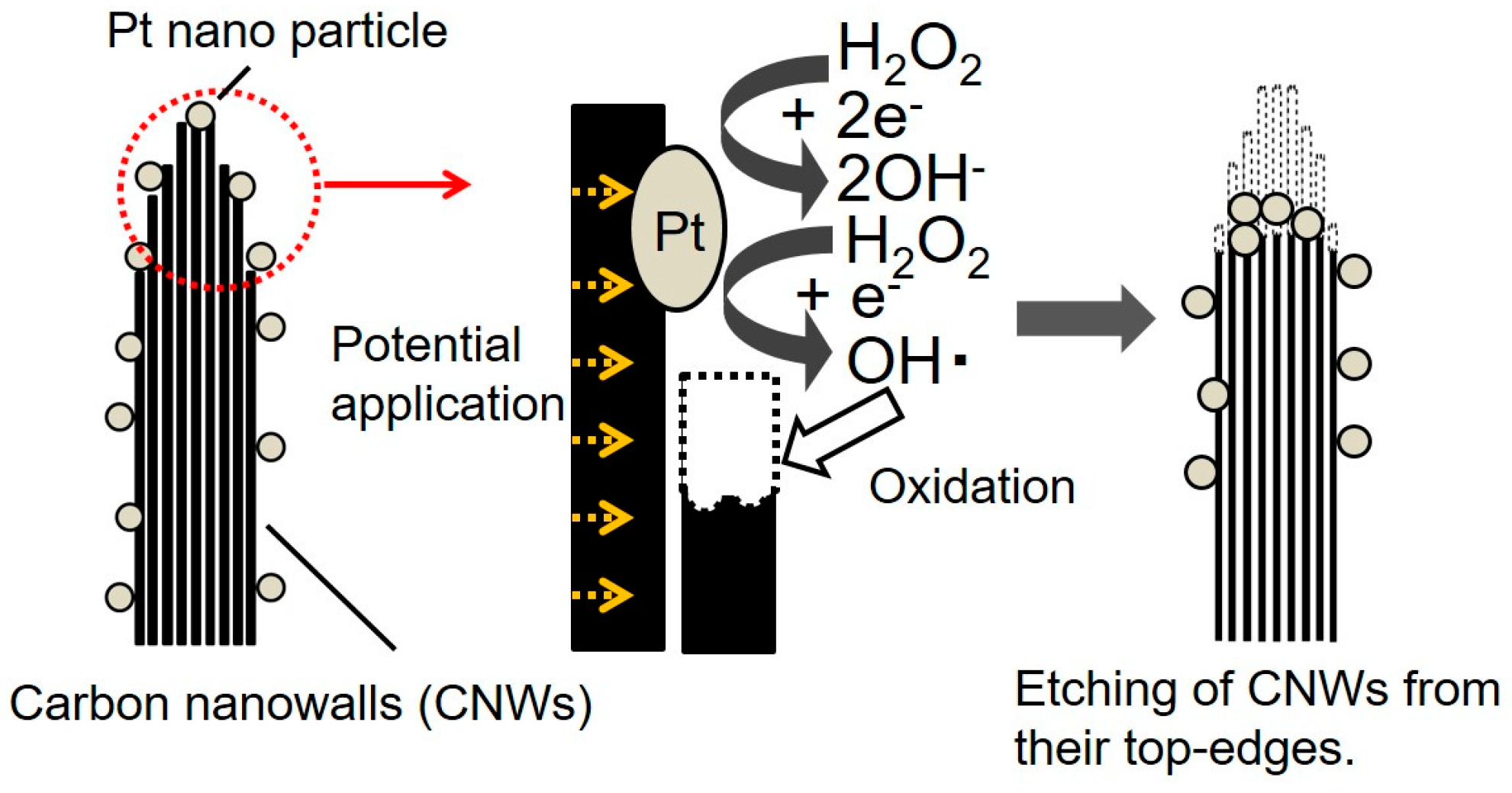 Carbon 05 00007 g006