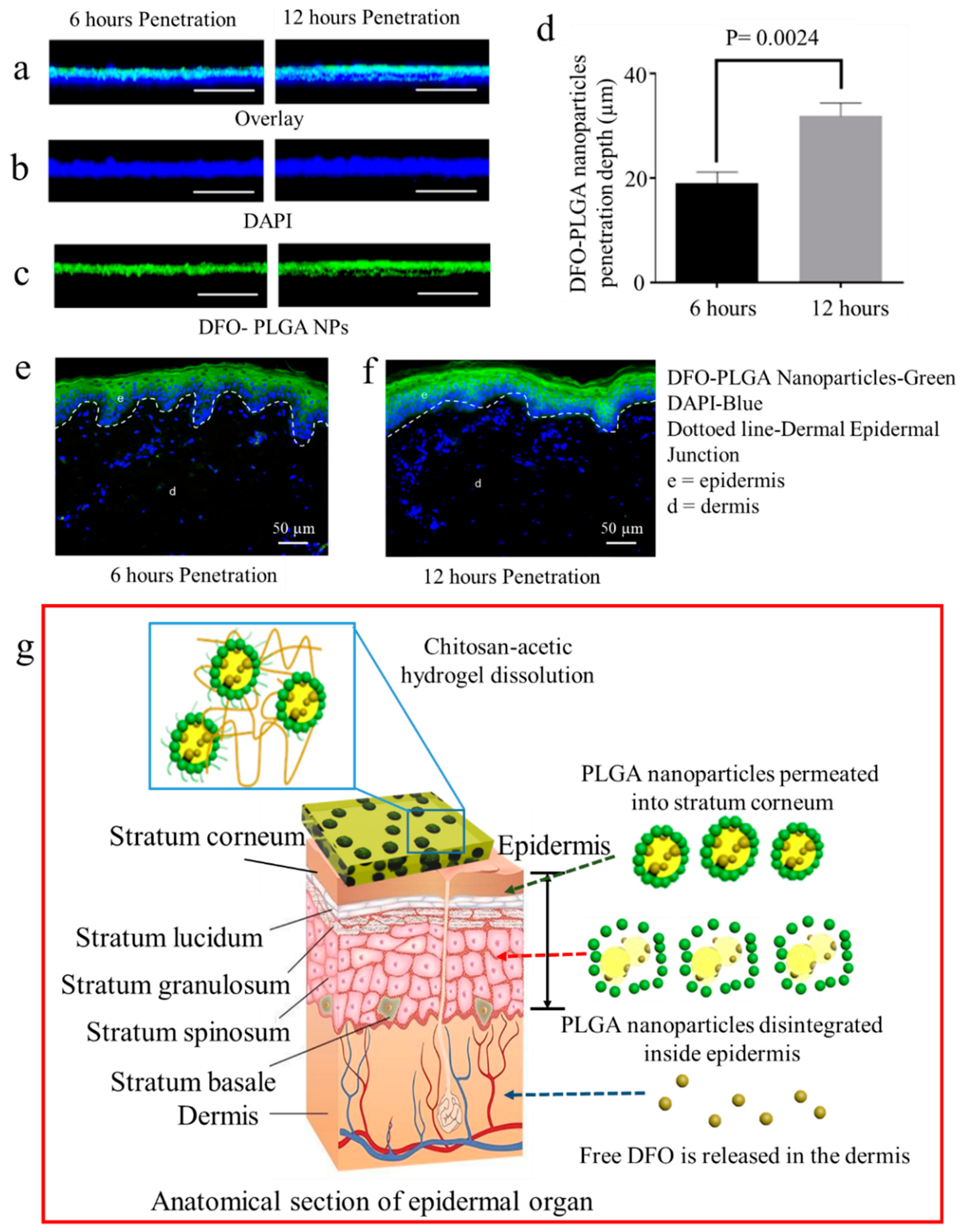 Carbon 05 00017 g005