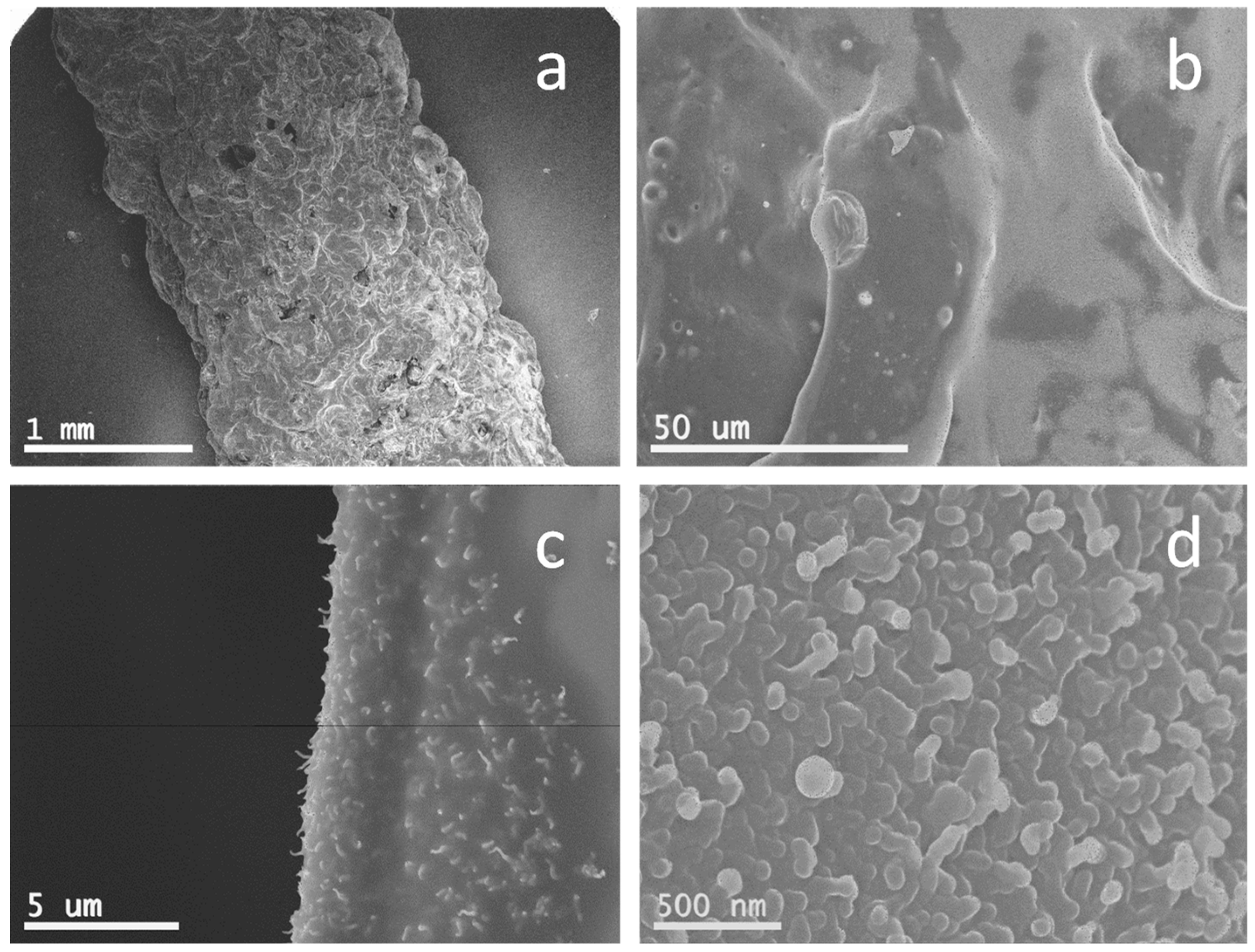 Carbon 05 00021 g002