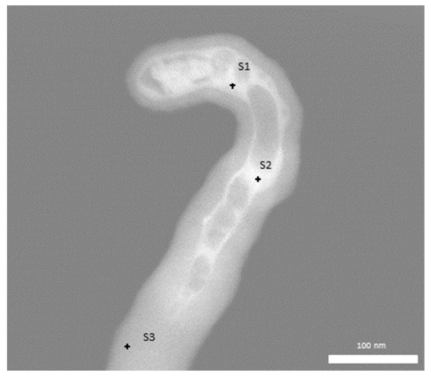 Carbon 05 00021 g009
