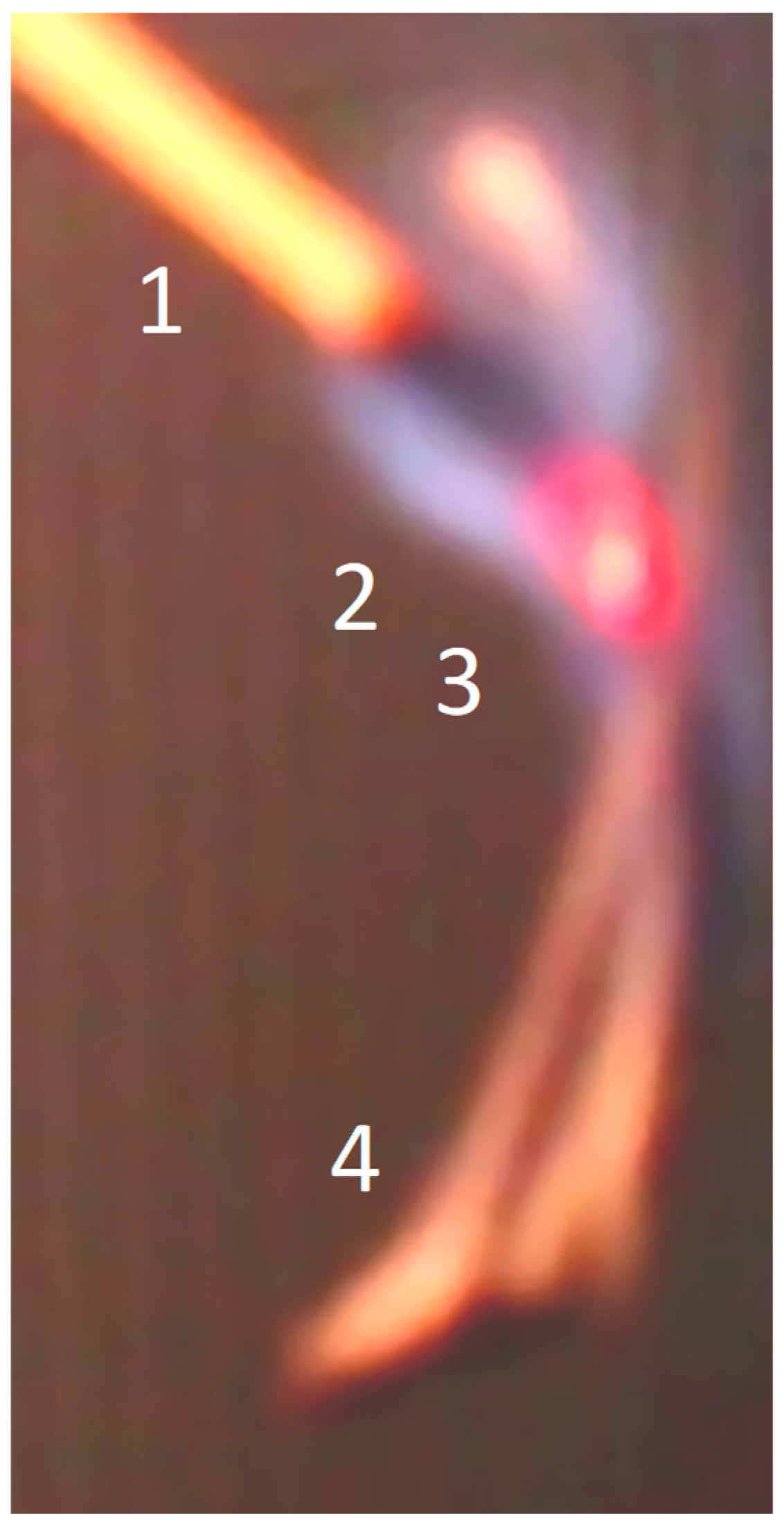 Carbon 05 00021 g010