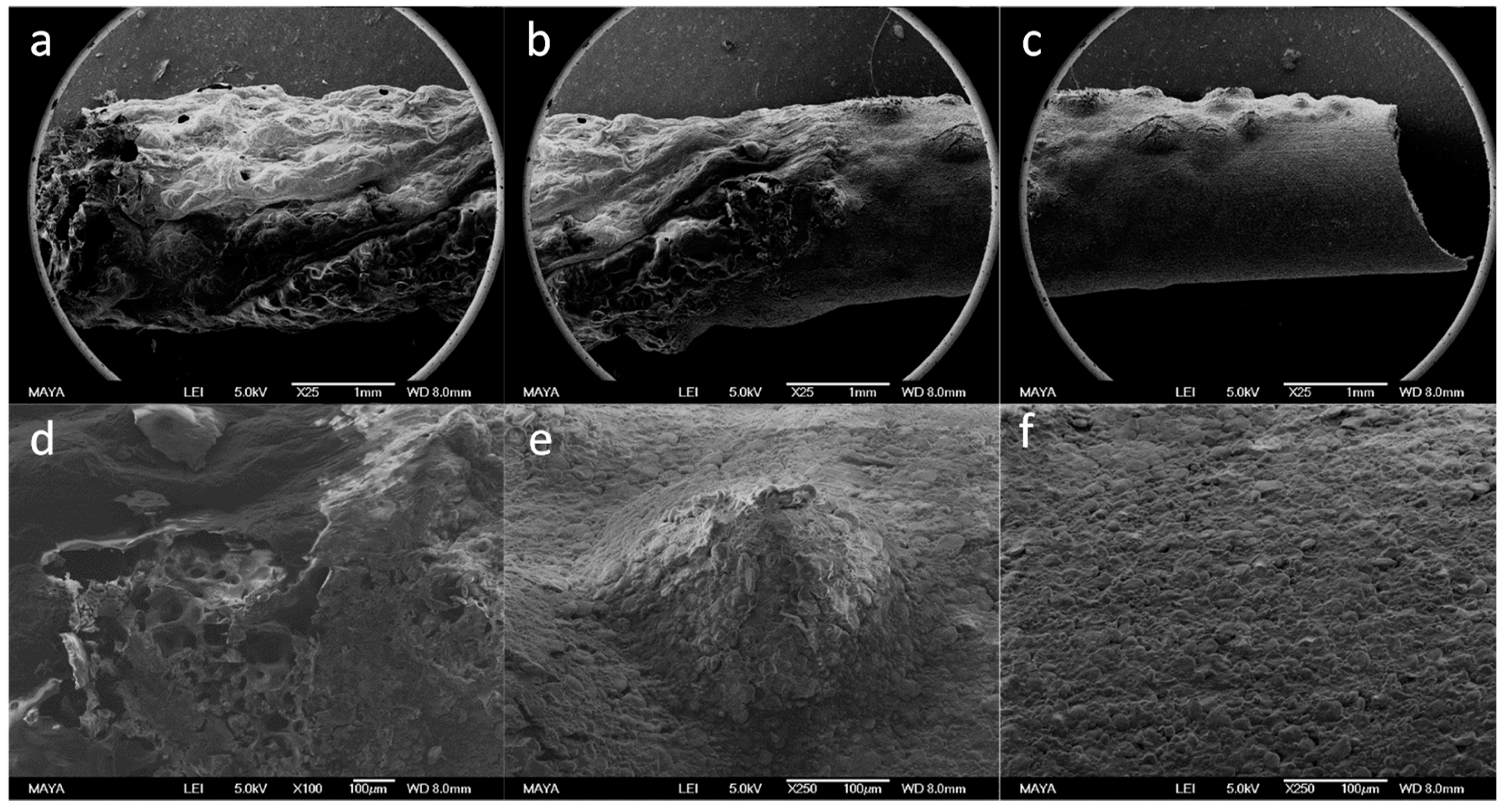 Carbon 05 00021 g011