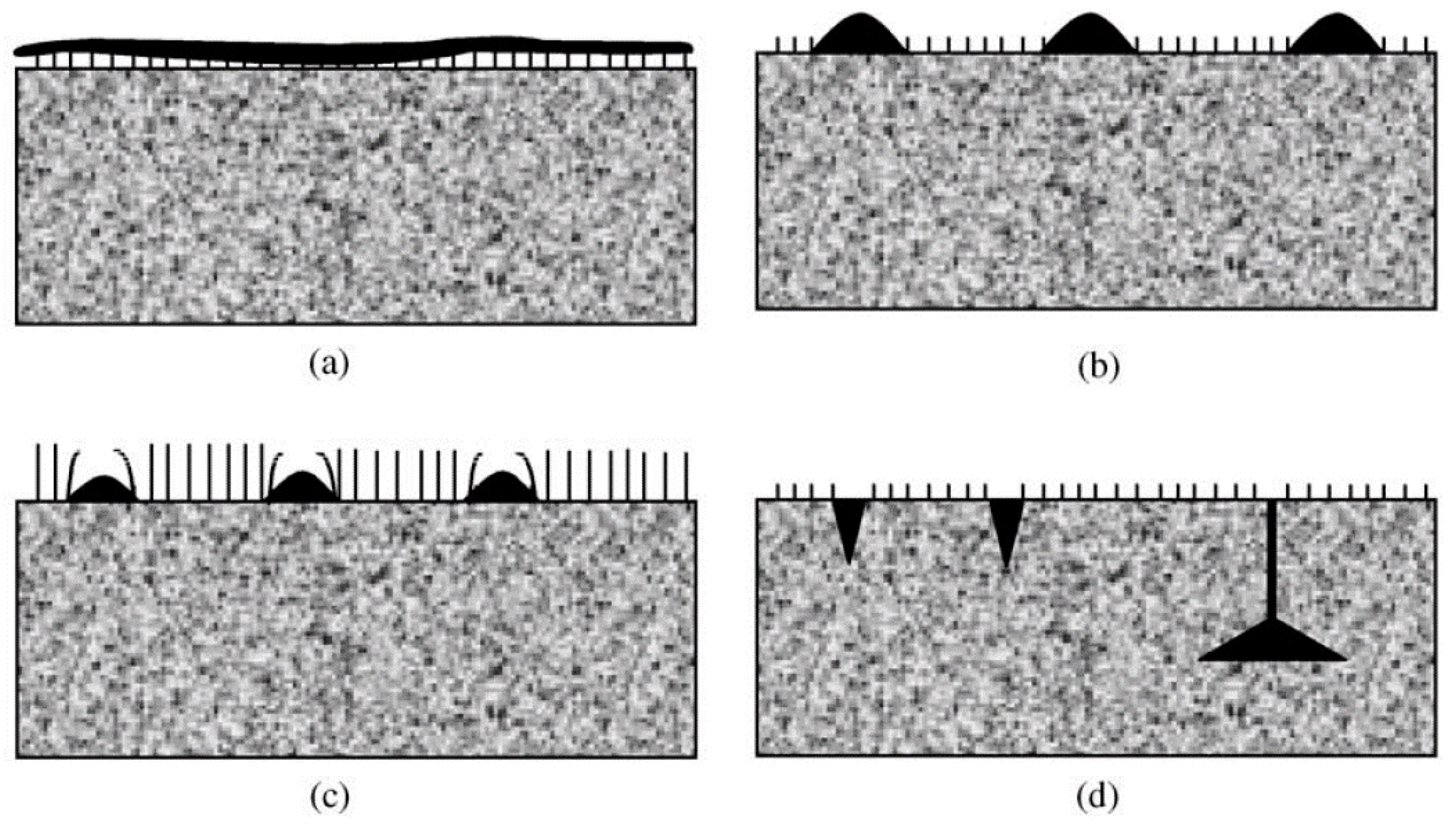 Carbon 05 00027 g001