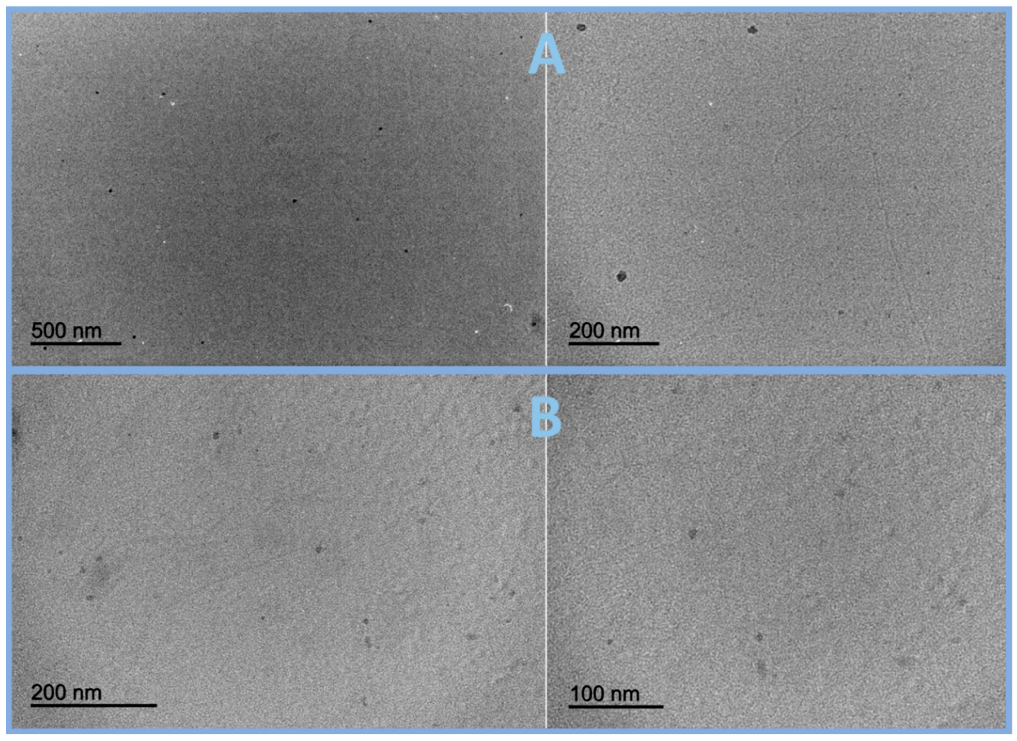 Carbon 05 00068 g002