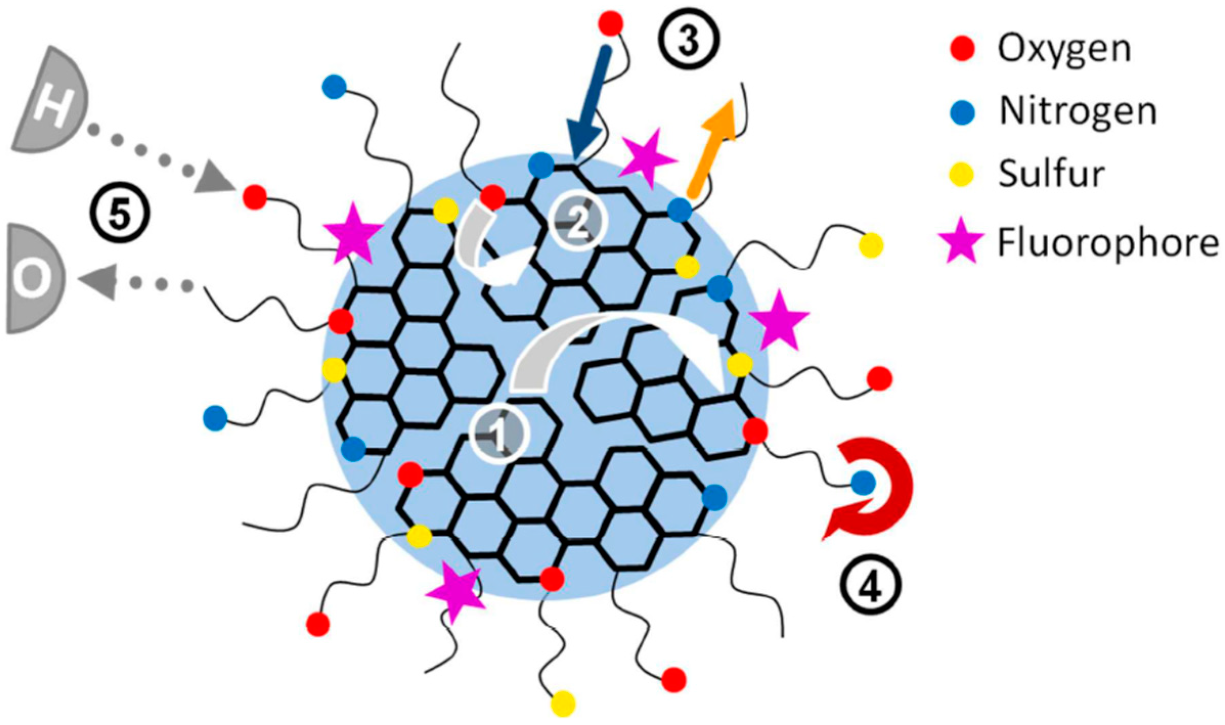 Carbon 05 00071 g007