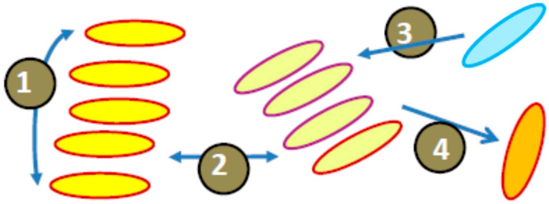 Carbon 05 00071 g009