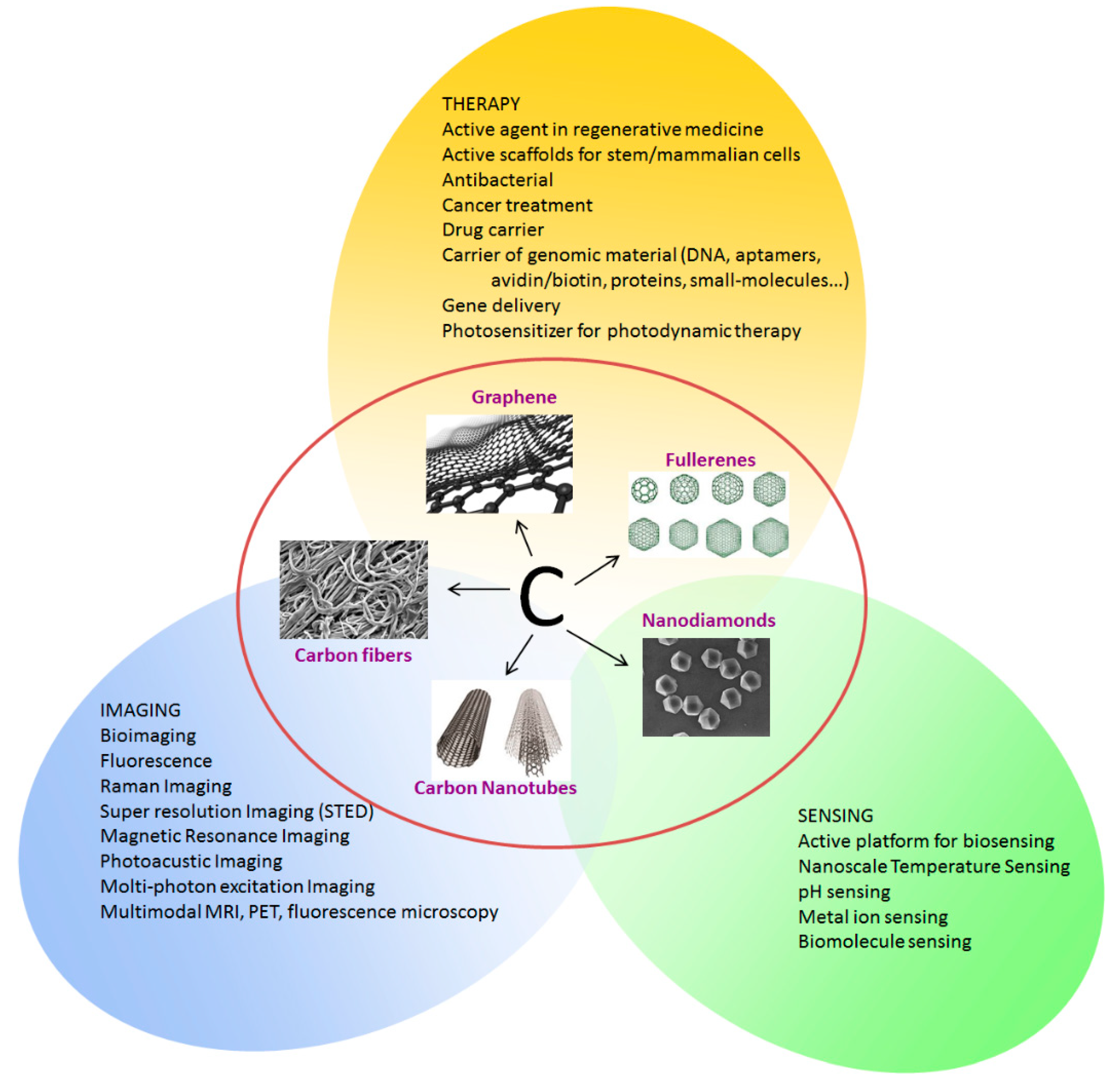 Carbon 05 00072 g002