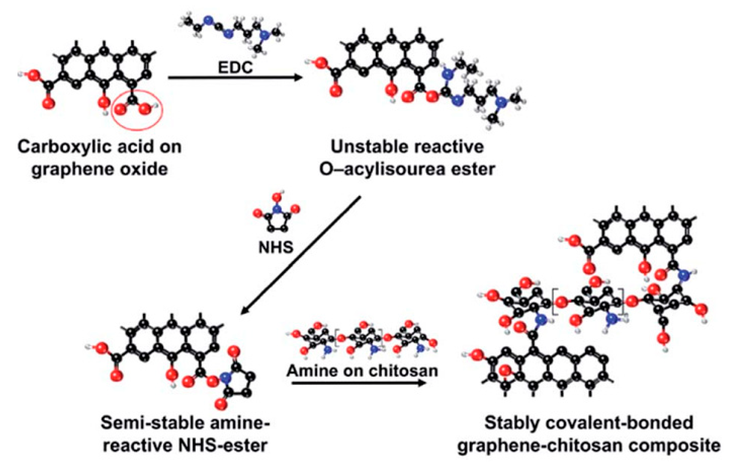 Carbon 05 00072 g006