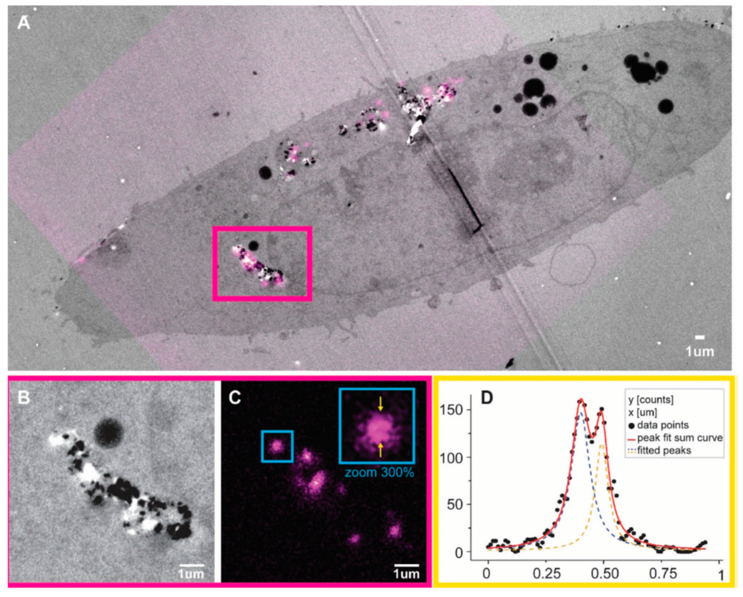 Carbon 05 00072 g012
