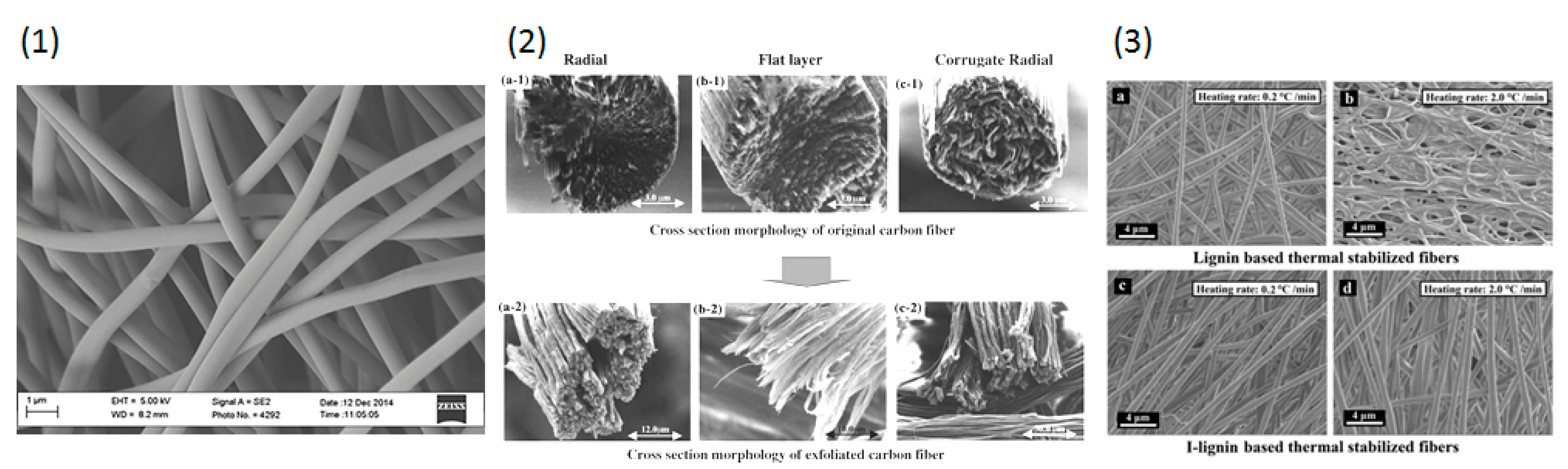 Carbon 05 00072 g019