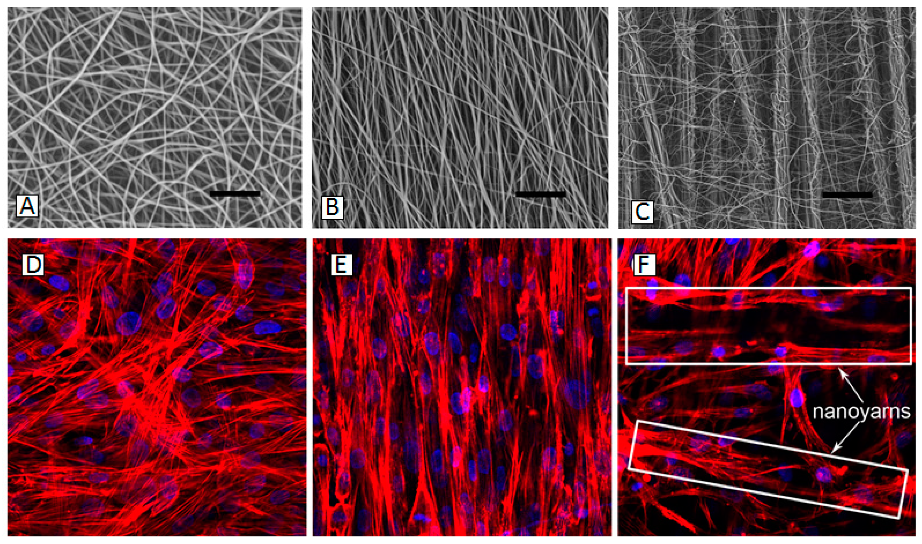 Carbon 05 00072 g020