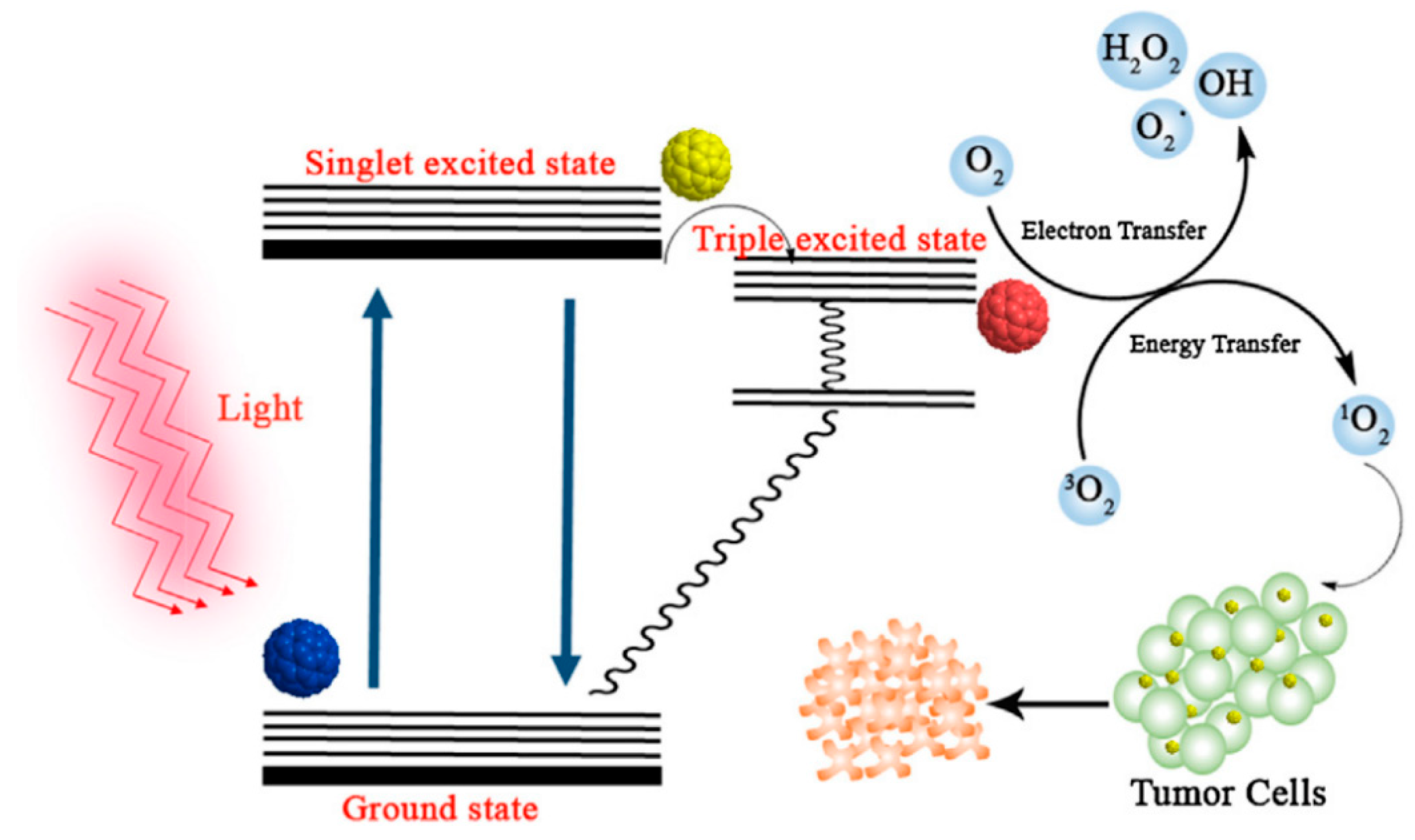 Carbon 05 00072 g021
