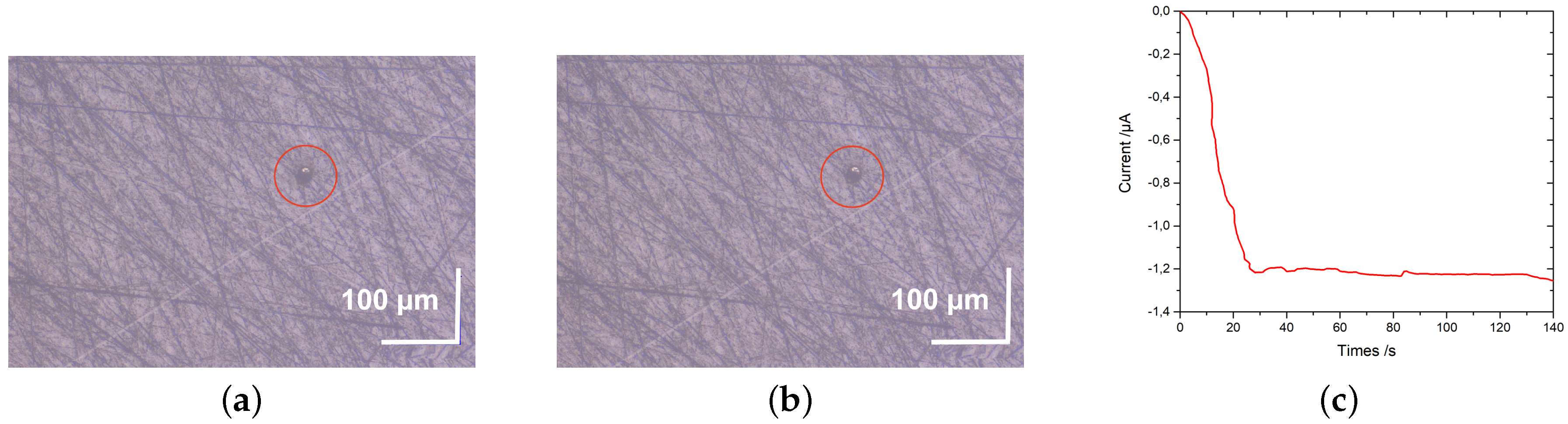 Carbon 05 00073 g009