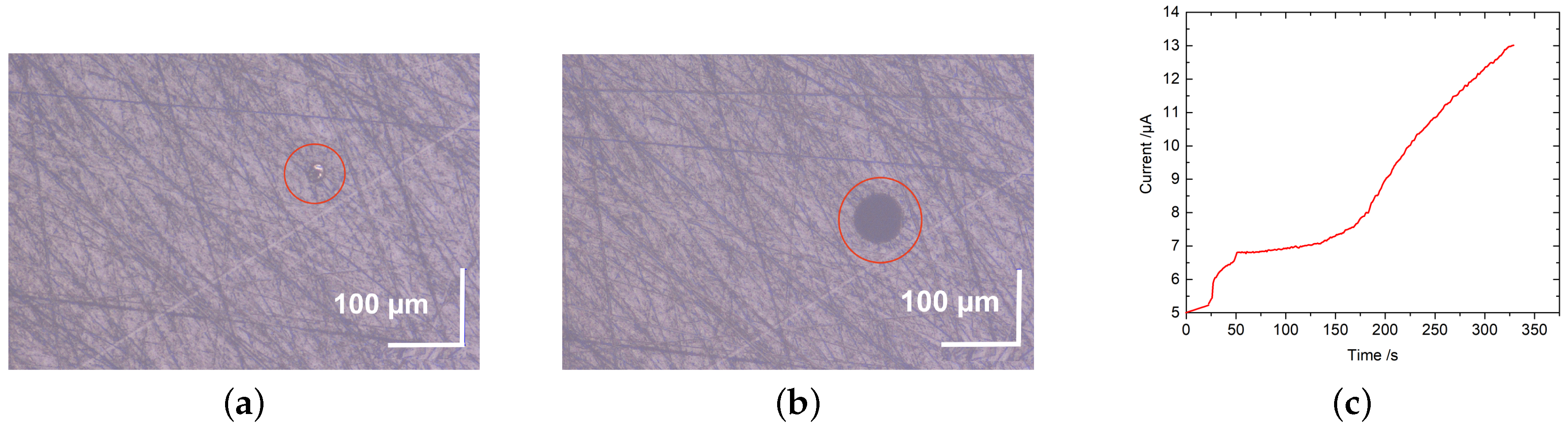Carbon 05 00073 g010