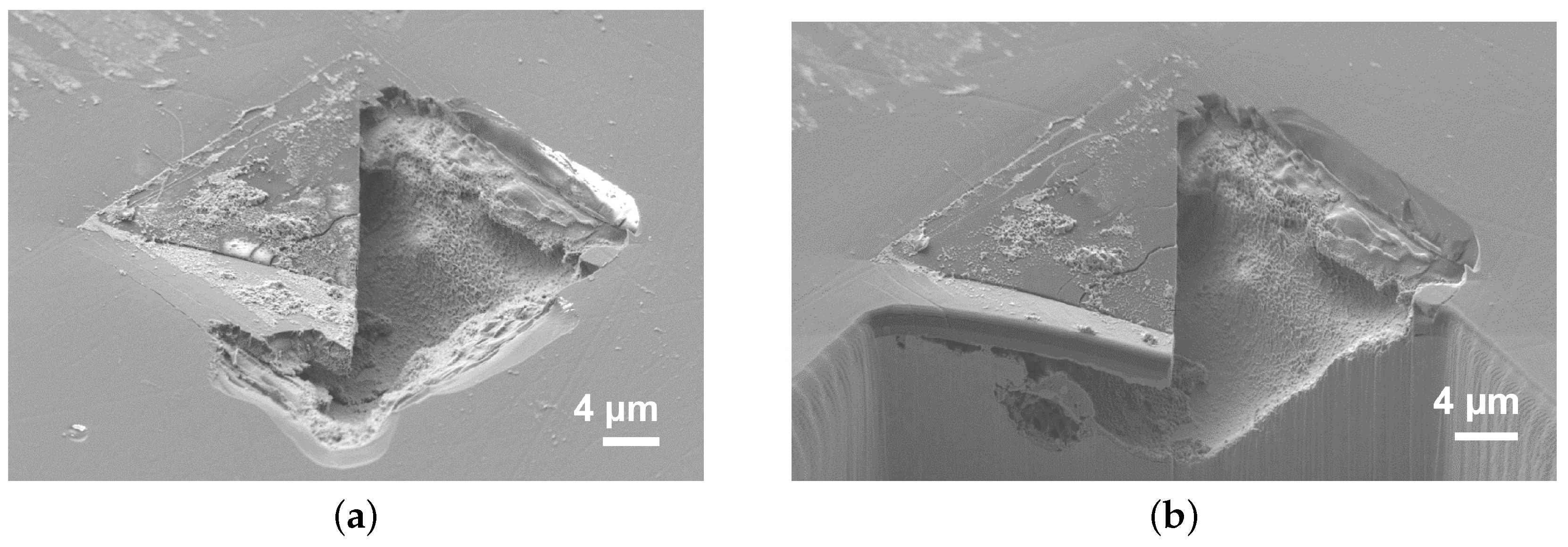 Carbon 05 00073 g014