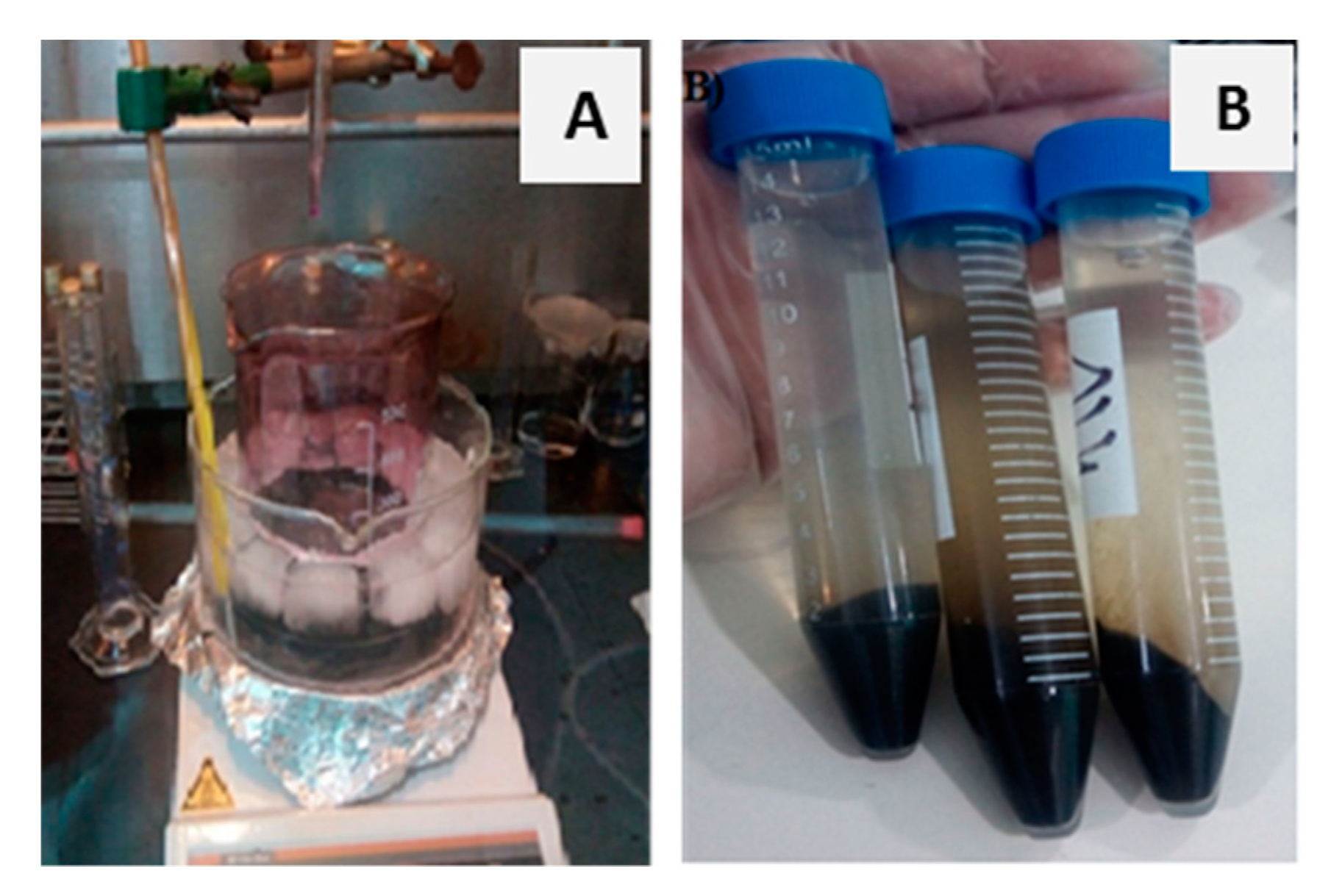 Carbon 05 00075 g001