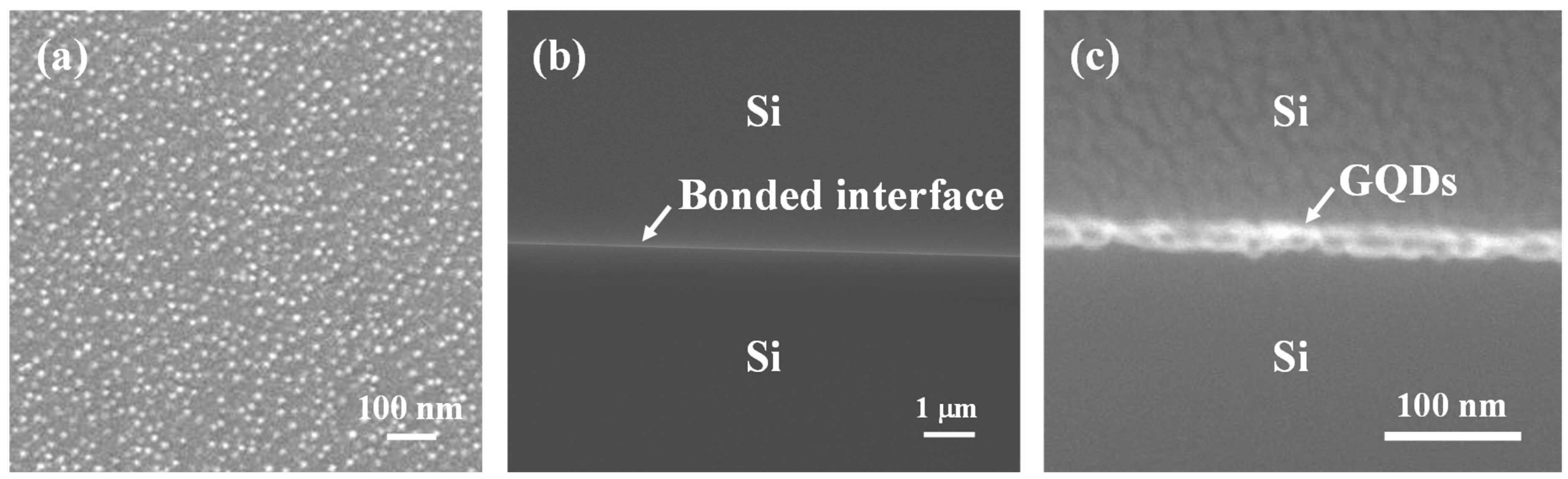 Carbon 06 00028 g001