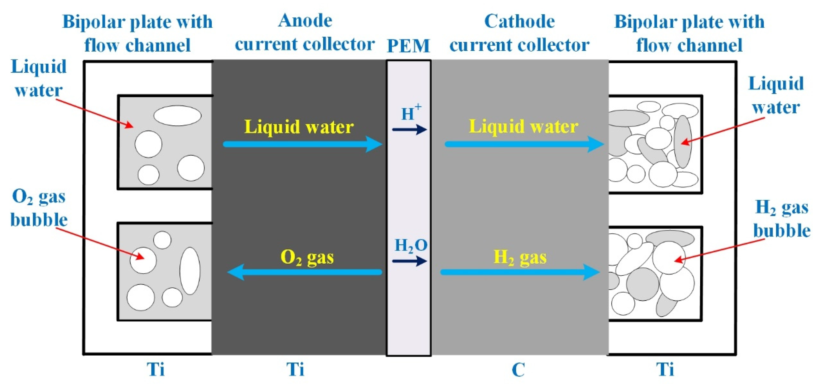 Carbon 06 00029 g002