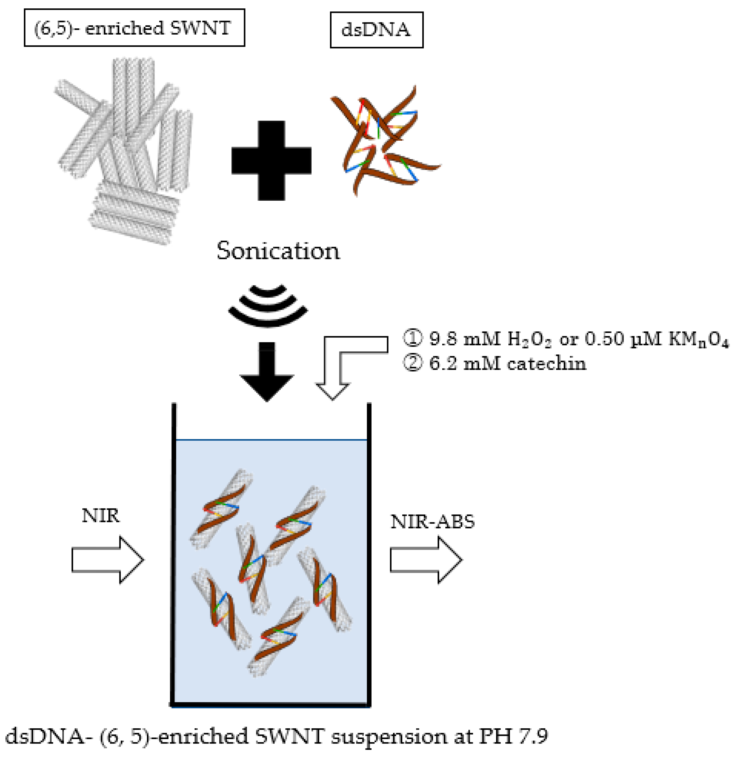 Carbon 06 00030 g001