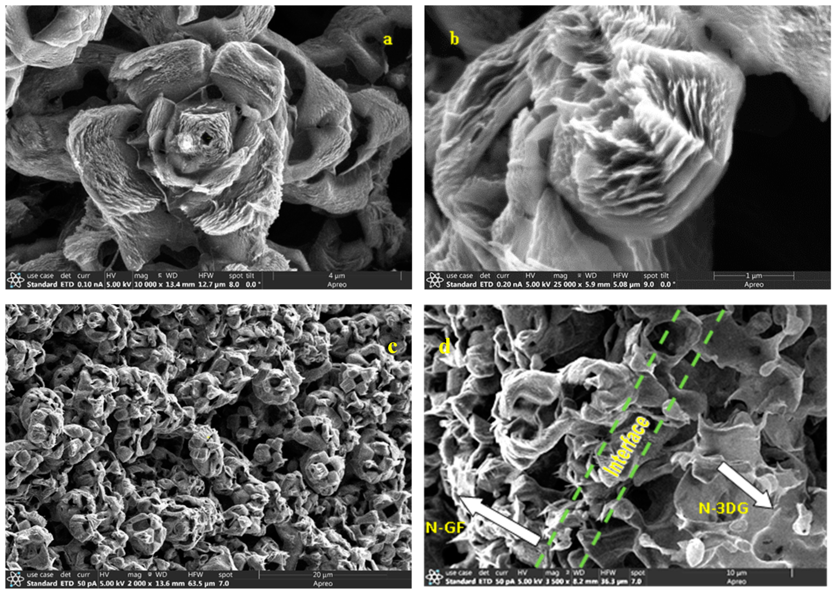 Carbon 06 00040 g002