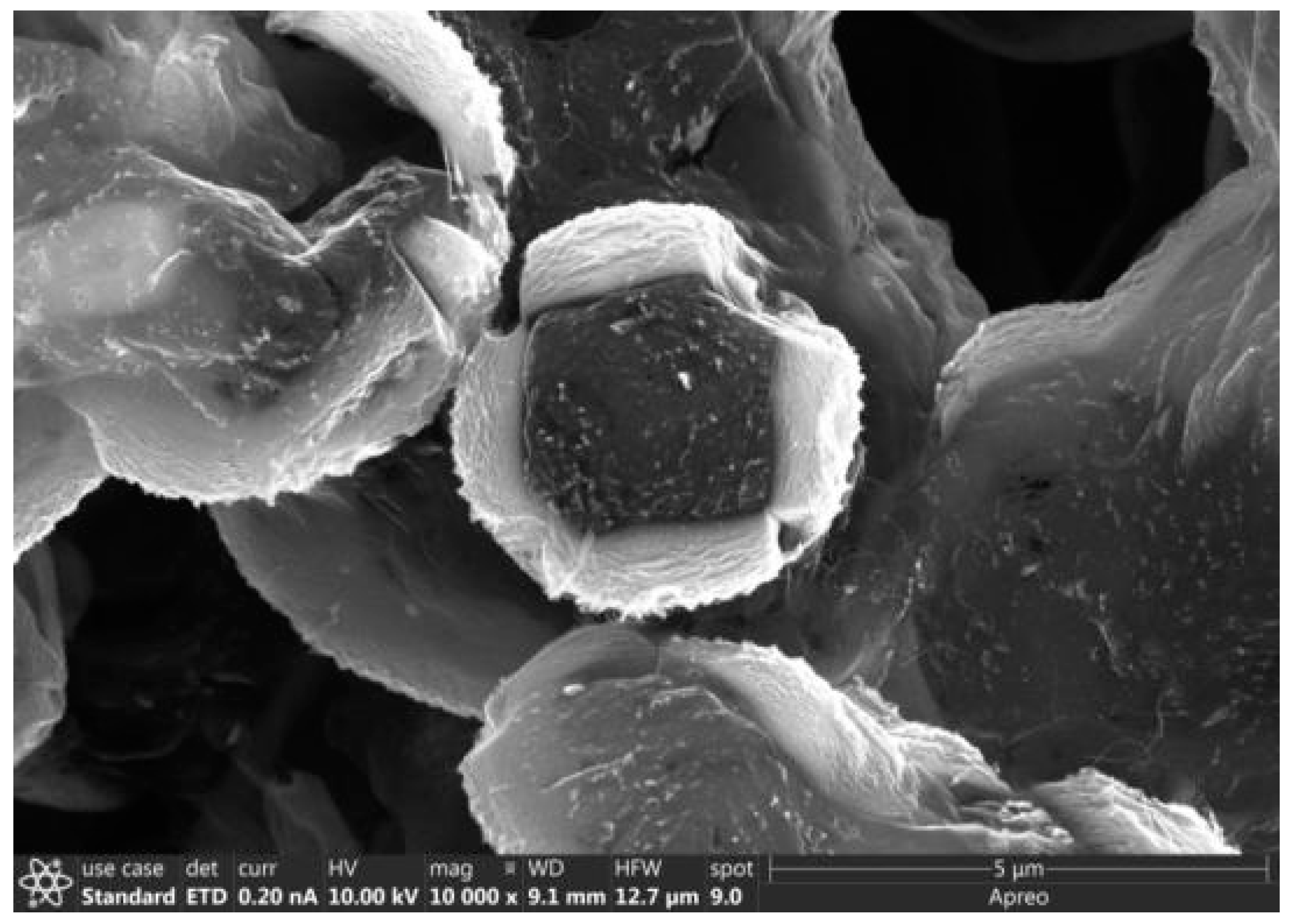 Carbon 06 00040 g005