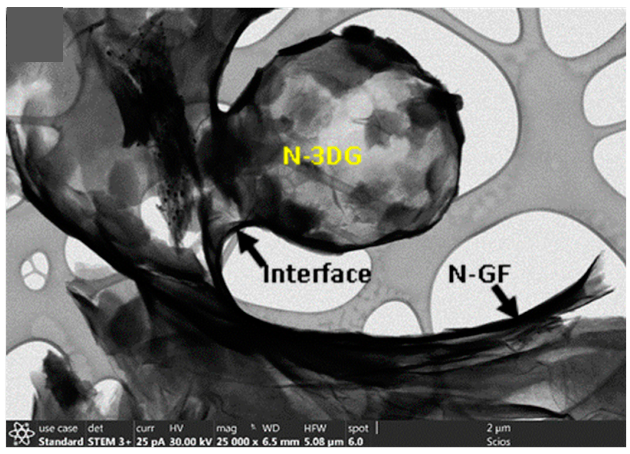 Carbon 06 00040 g007