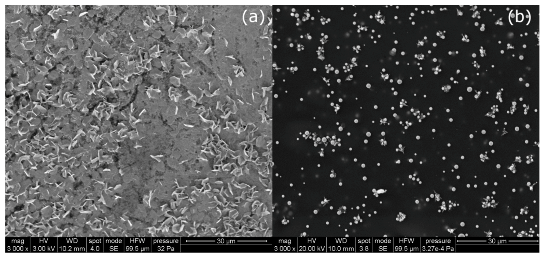 Carbon 06 00045 g004