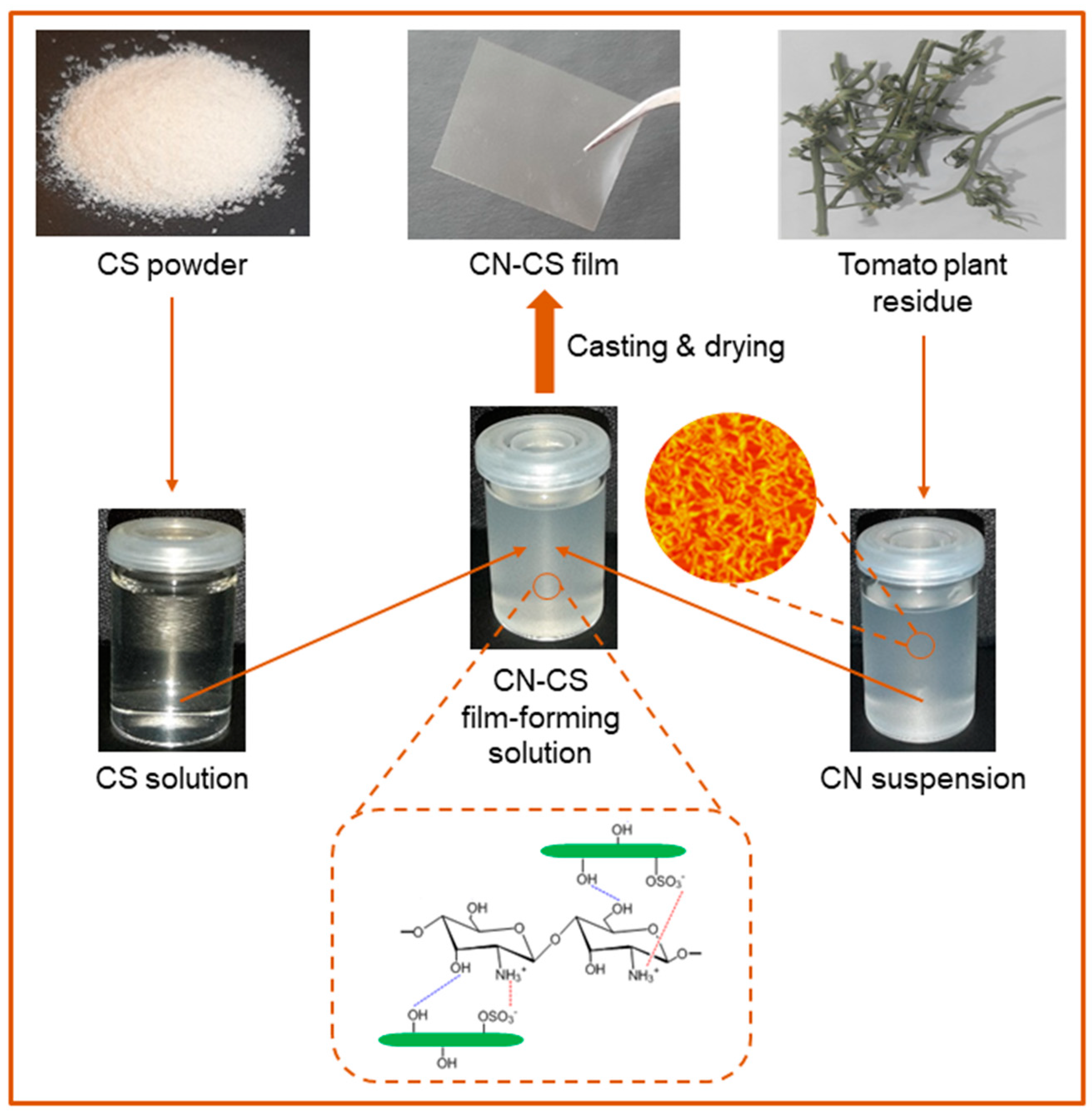 Carbon 06 00051 g001