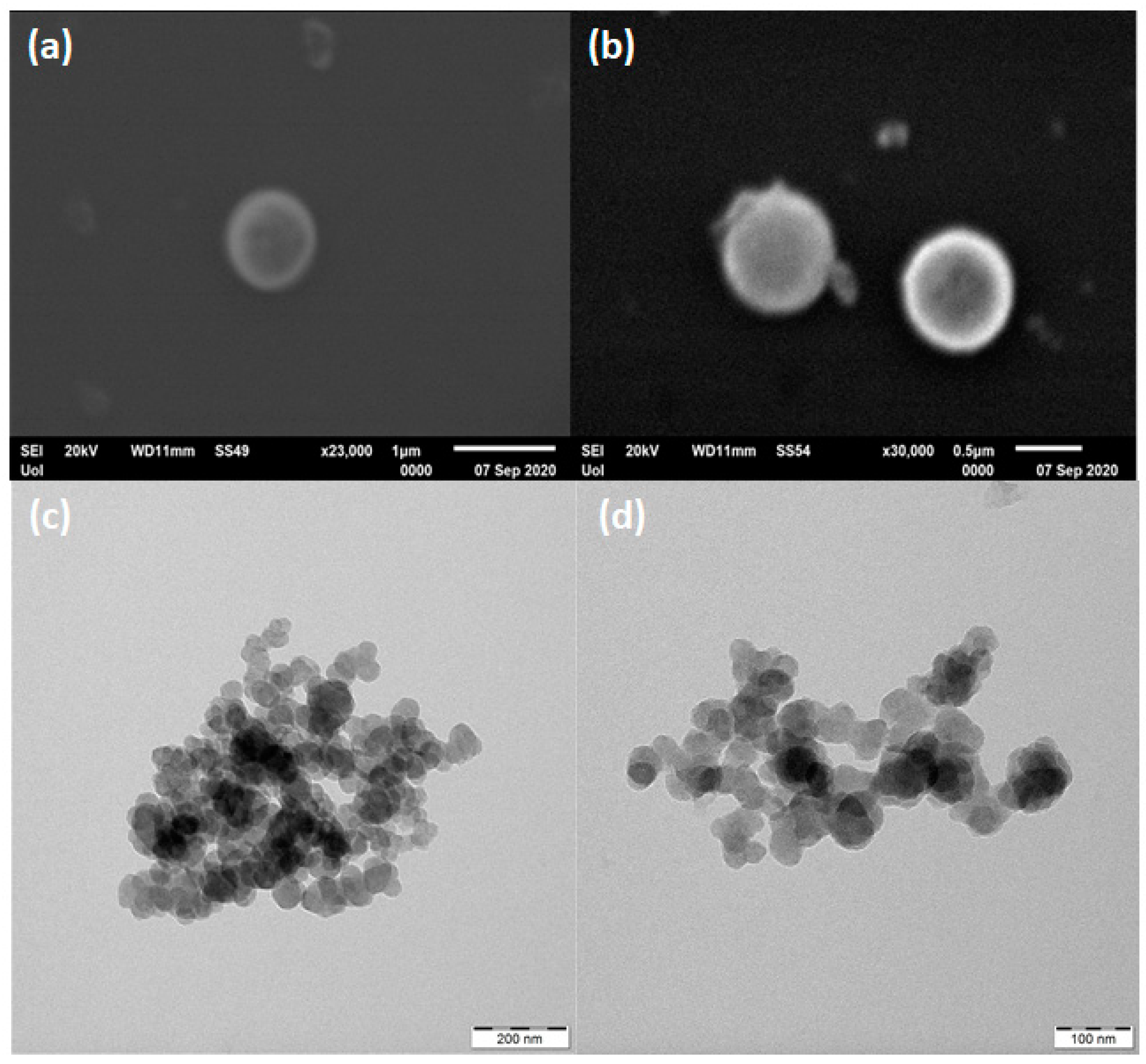 Carbon 06 00061 g007