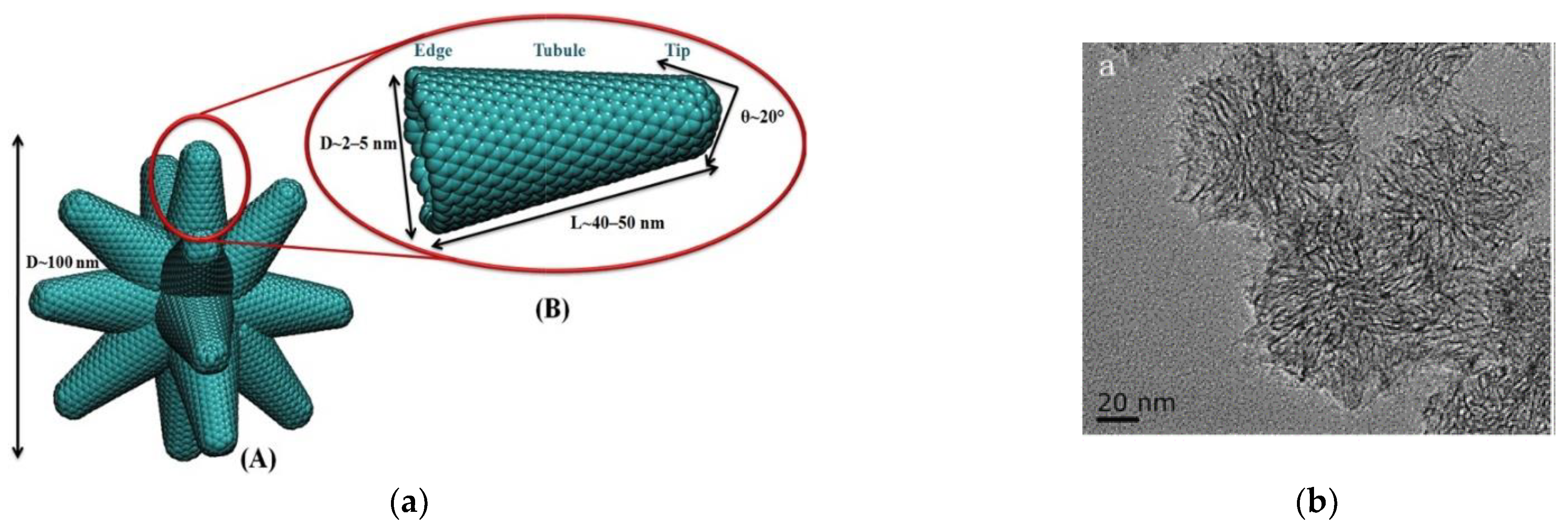 Carbon 07 00003 g002