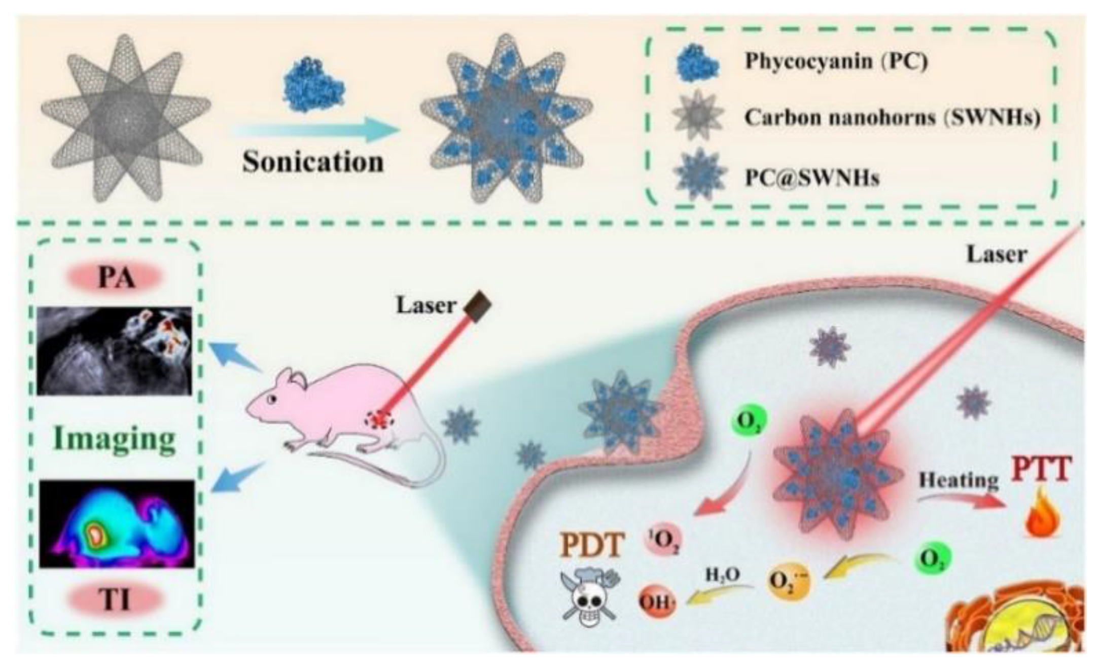 Carbon 07 00003 g005
