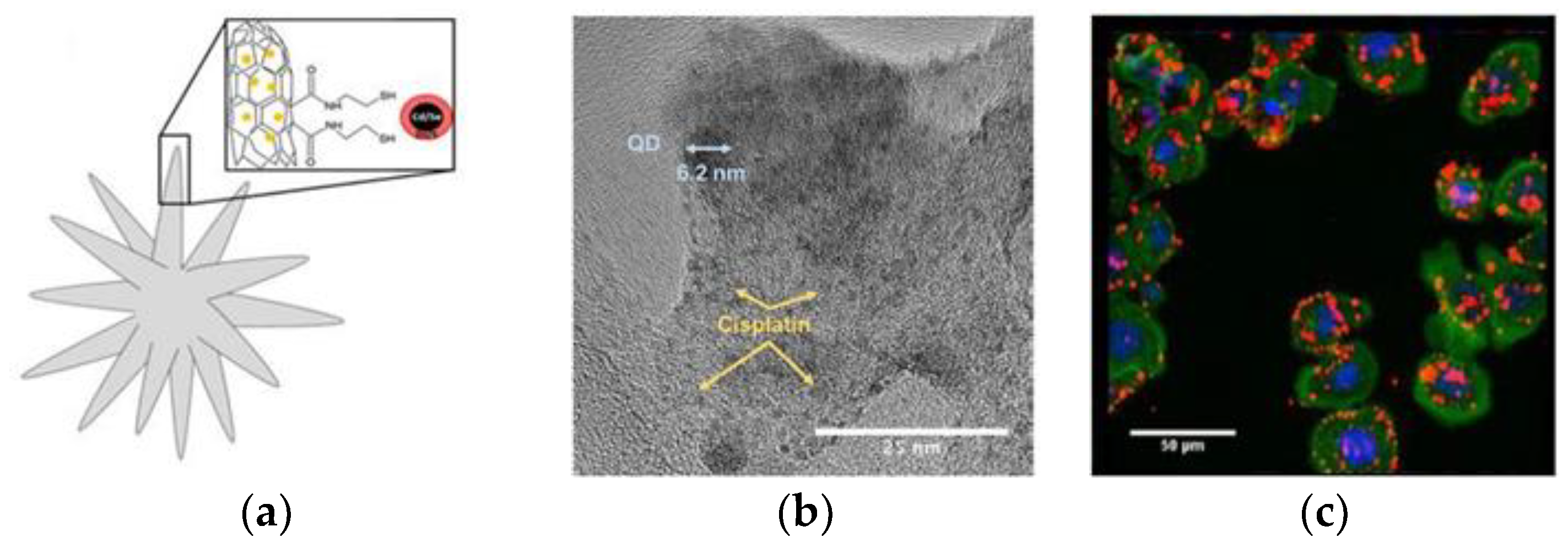 Carbon 07 00003 g006