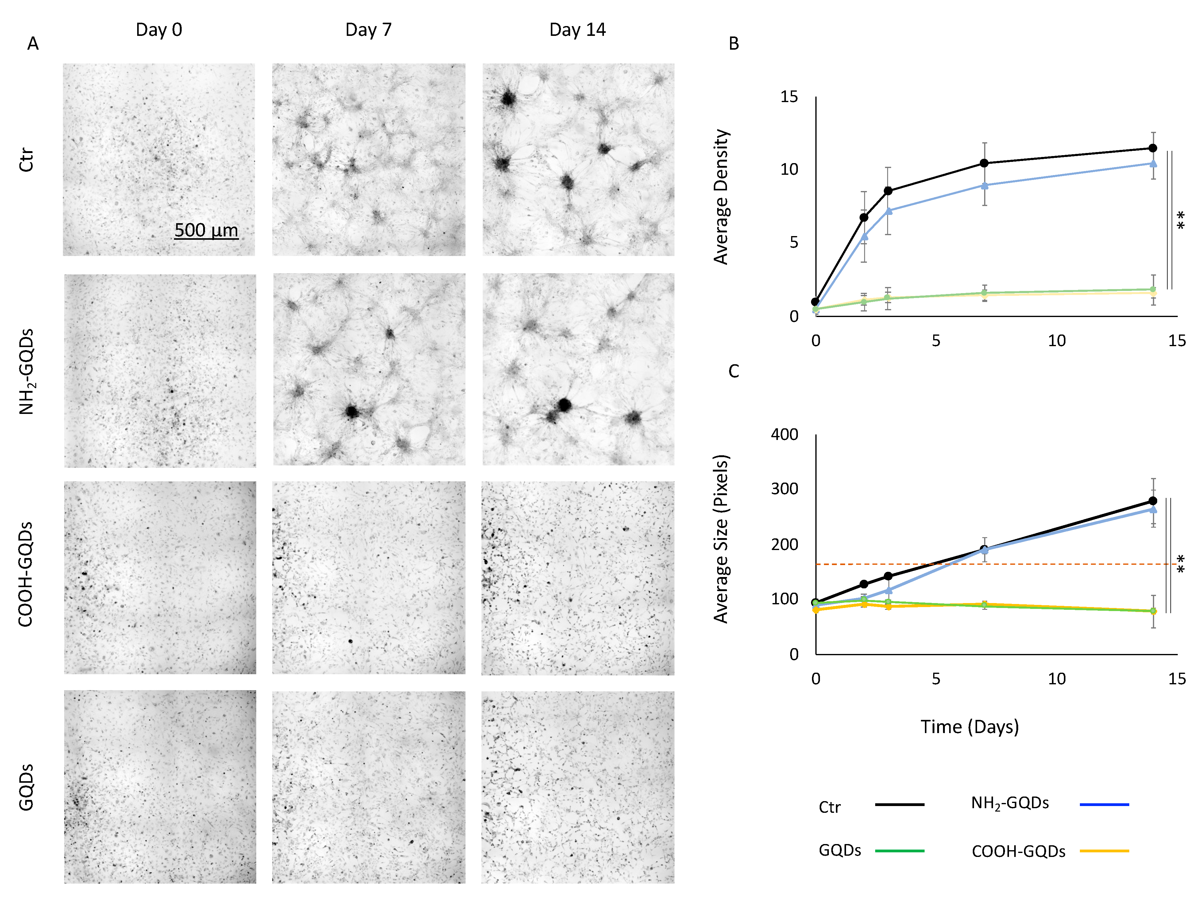 Carbon 07 00004 g003 Carbon 07 00004 g003