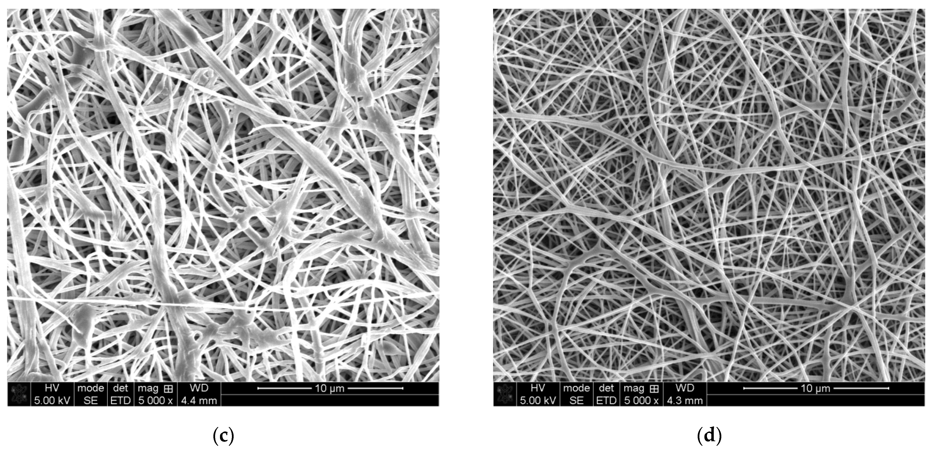 Carbon 07 00012 g003b