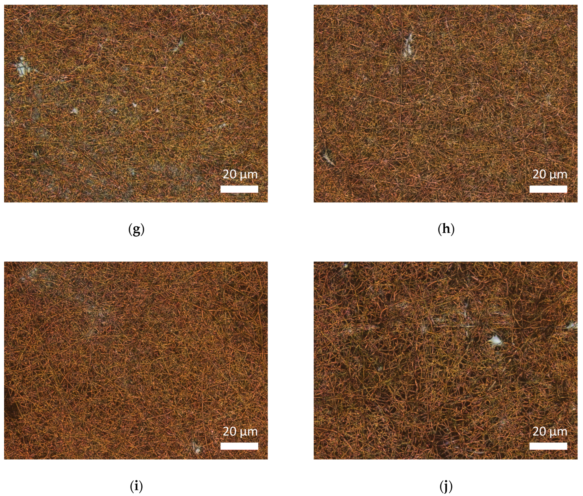 Carbon 07 00012 g015b