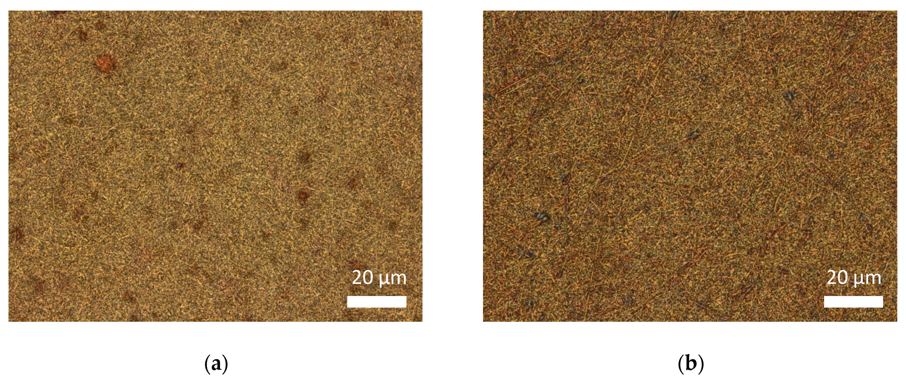 Carbon 07 00012 g016a