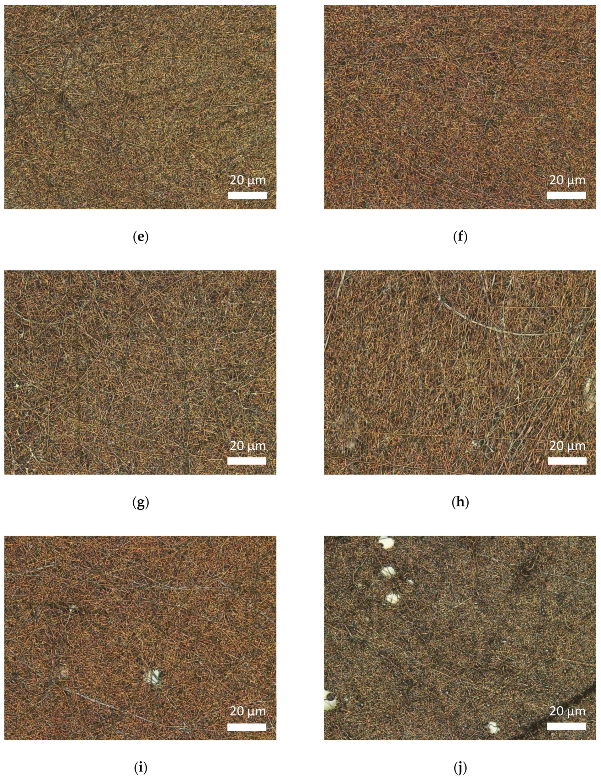 Carbon 07 00012 g017b