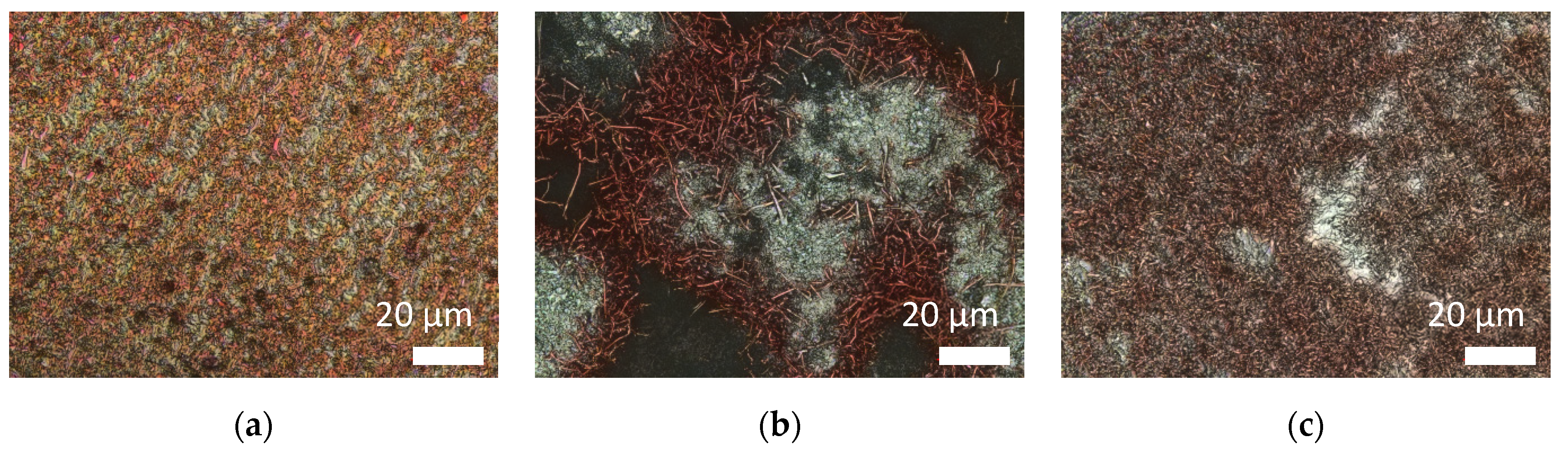 Carbon 07 00012 g020