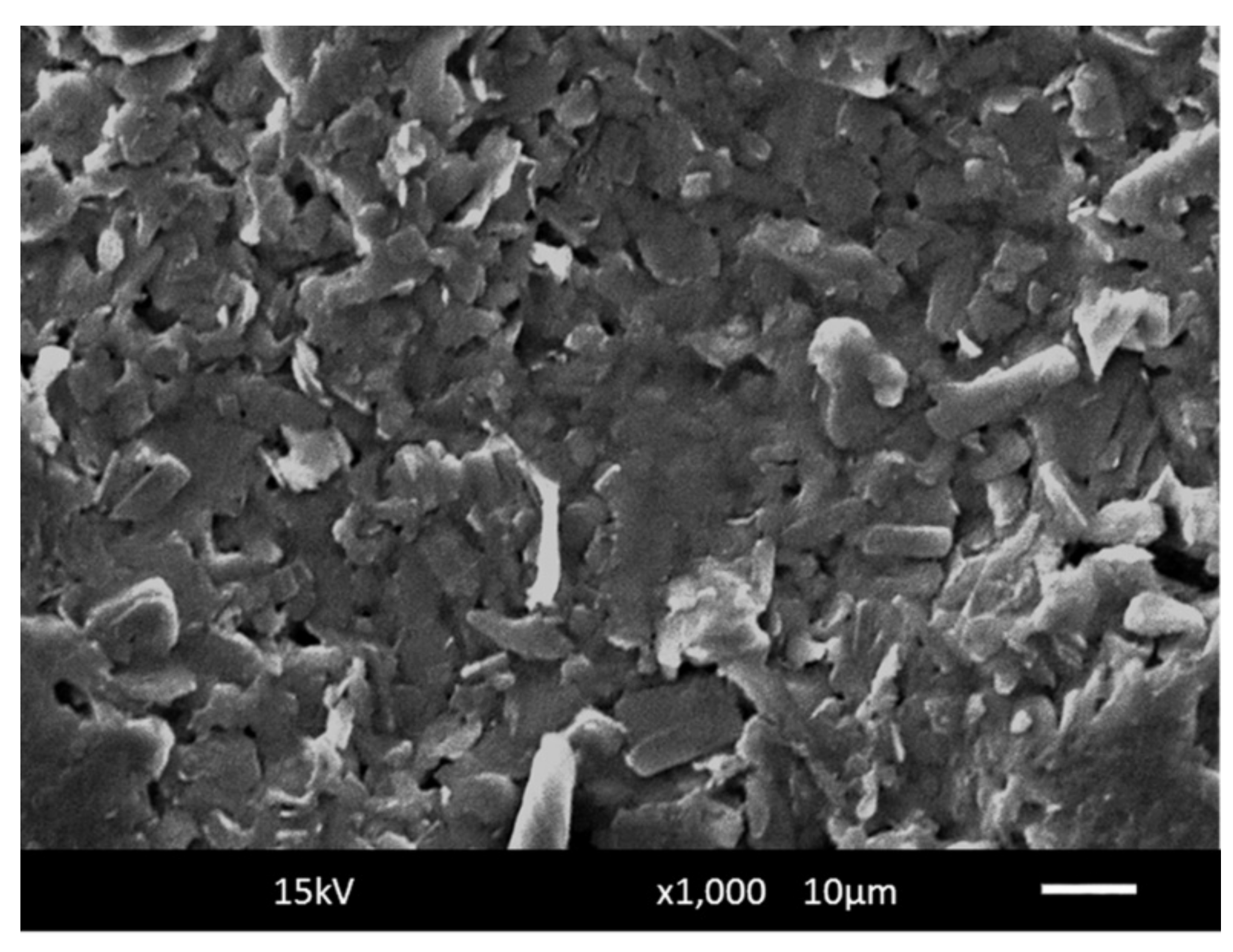 Carbon 07 00013 g010 Carbon 07 00013 g010