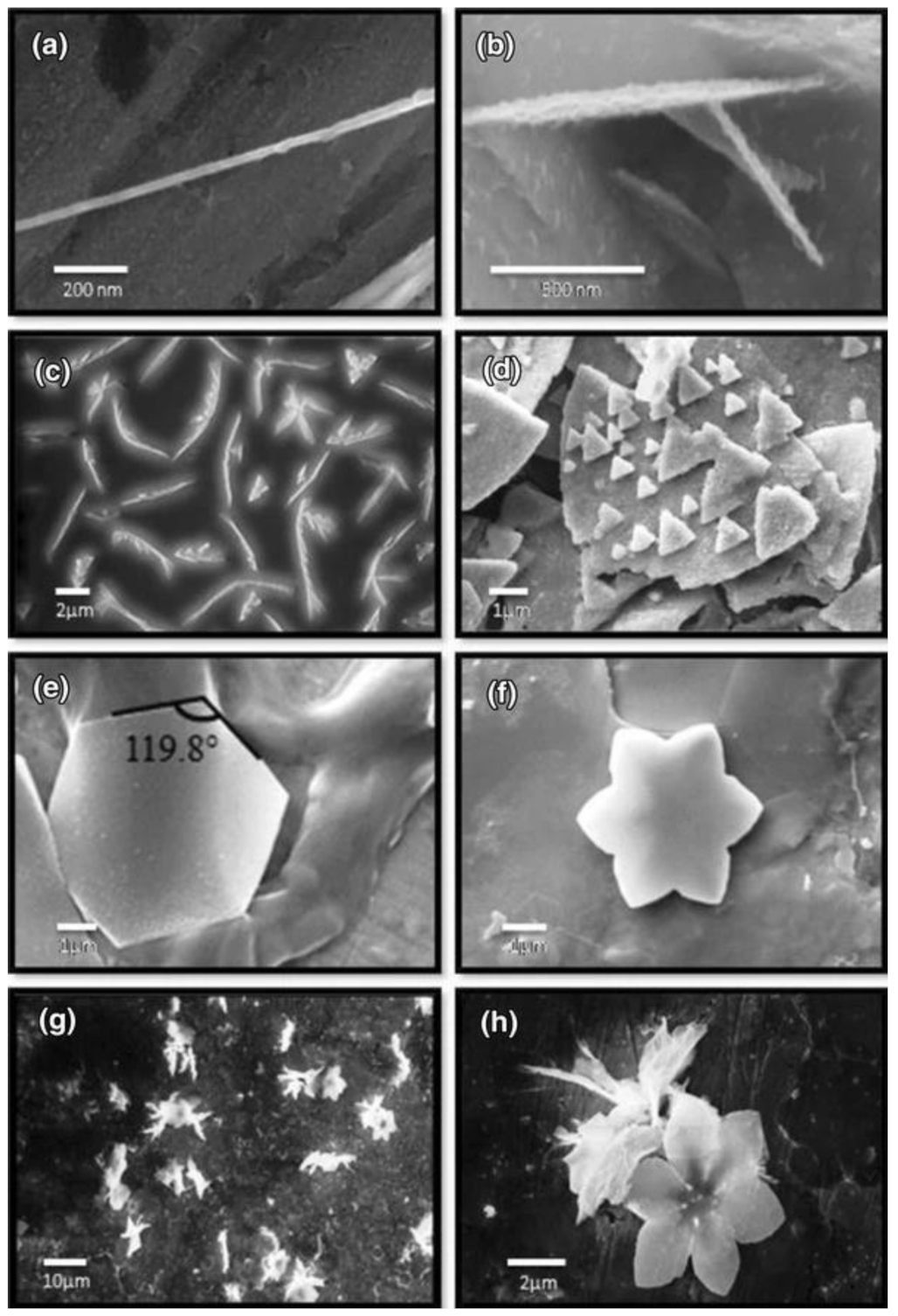 Carbon 07 00019 g010 Carbon 07 00019 g010