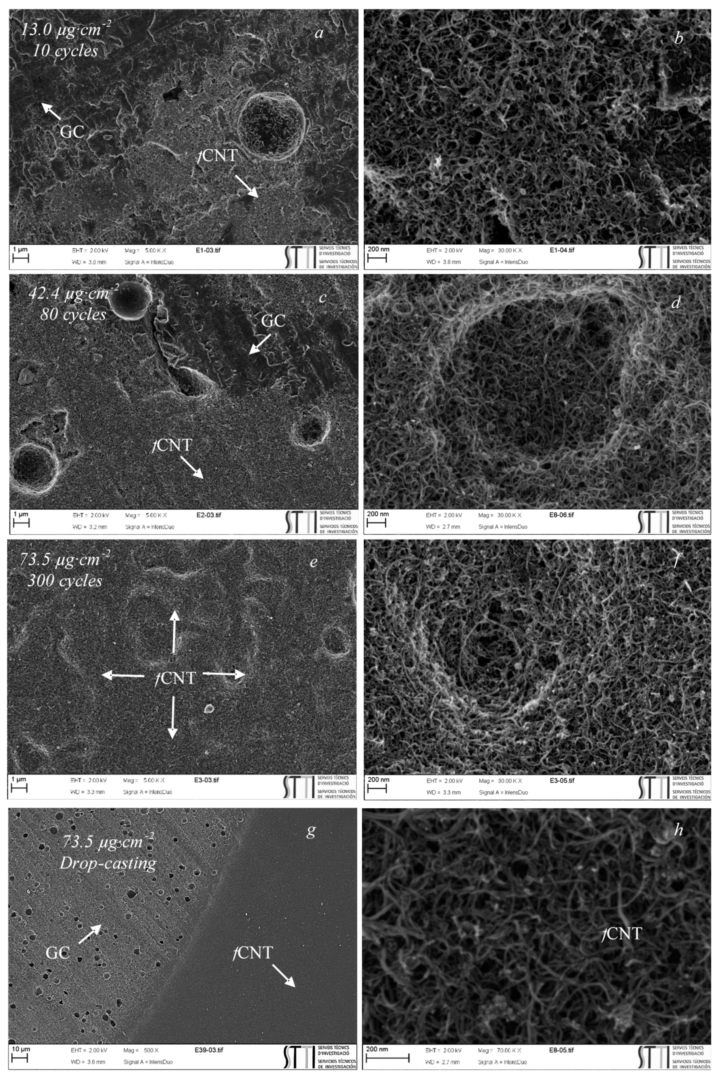 Carbon 07 00032 g007