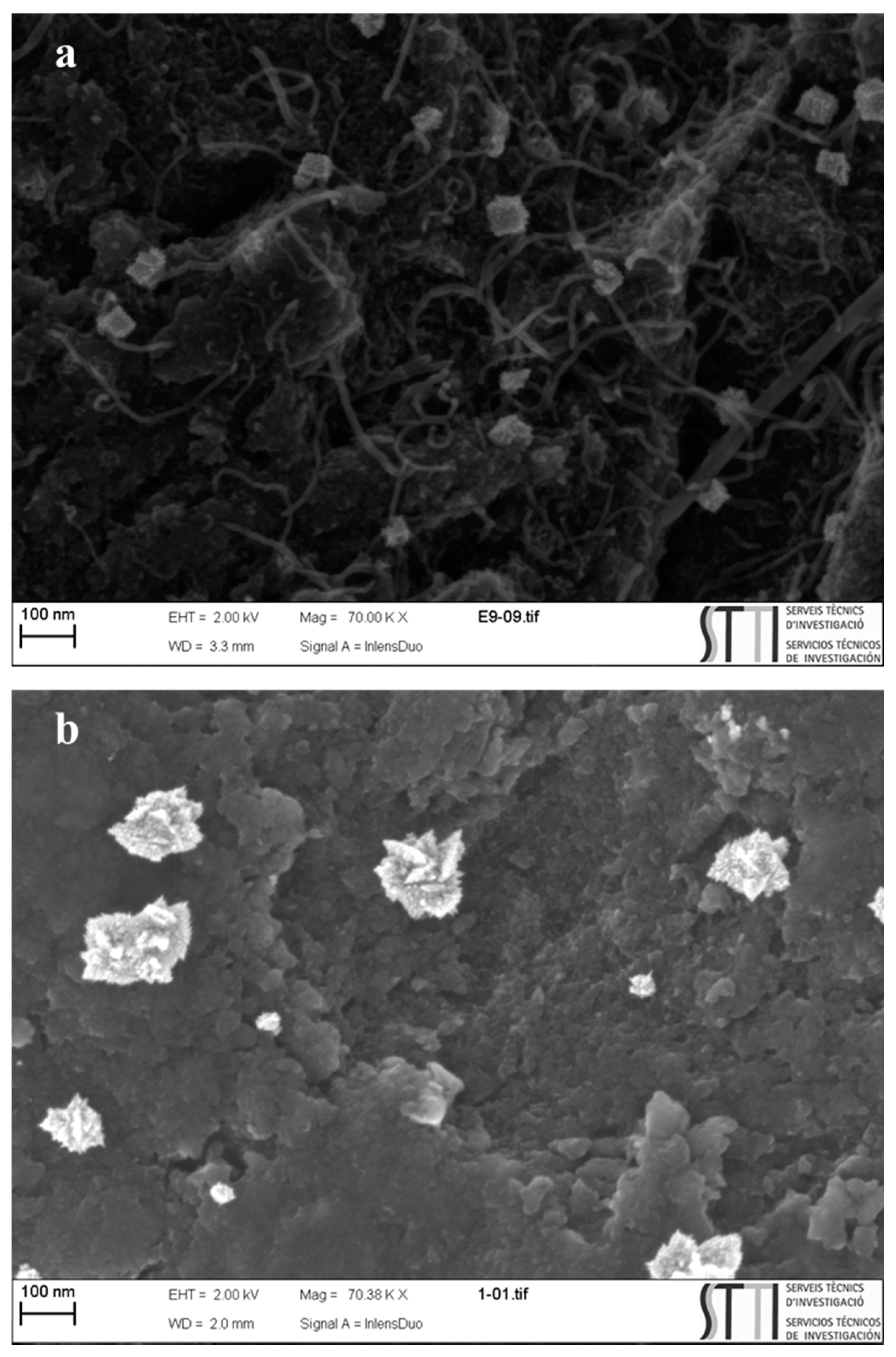 Carbon 07 00032 g009