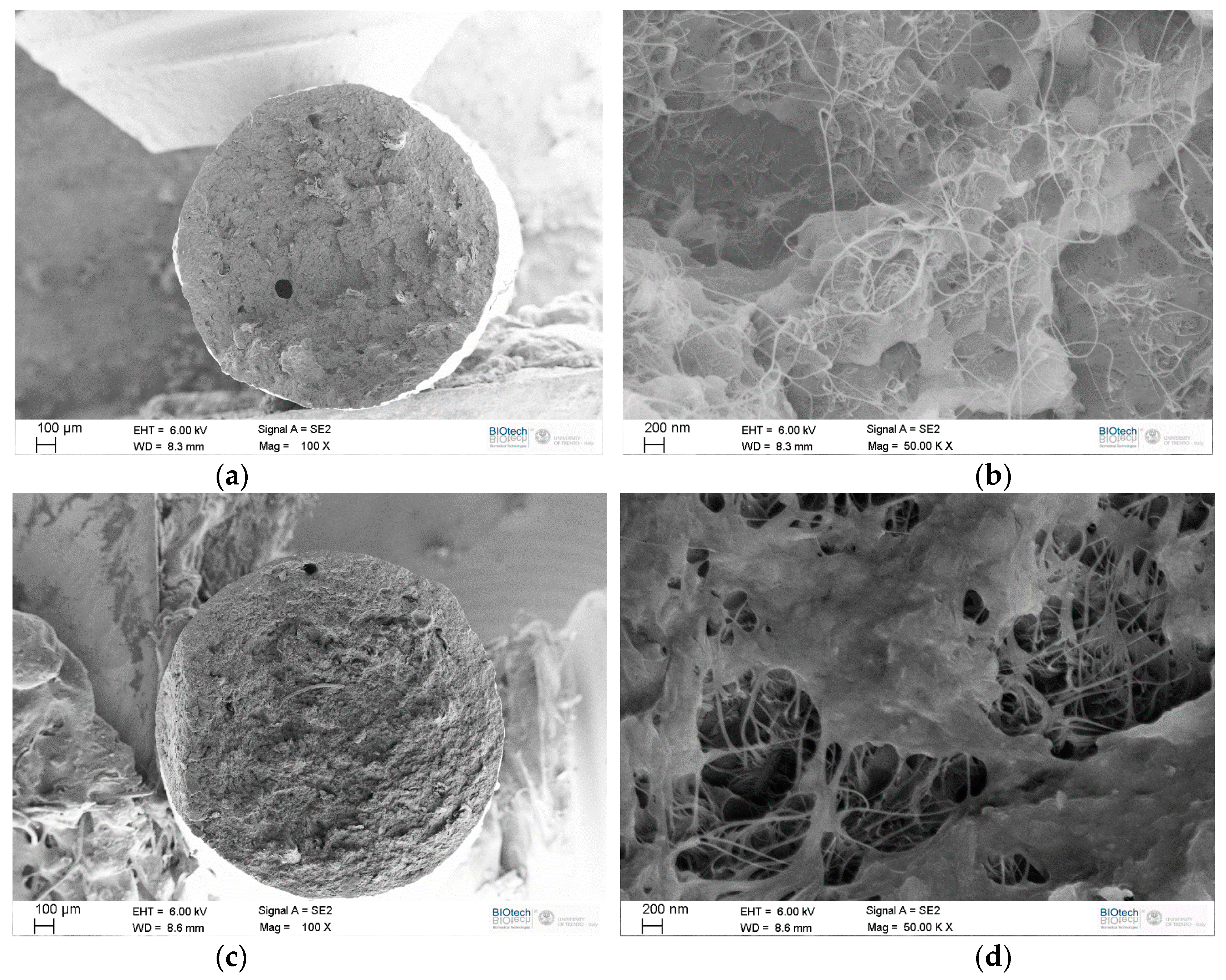 Carbon 07 00033 g004