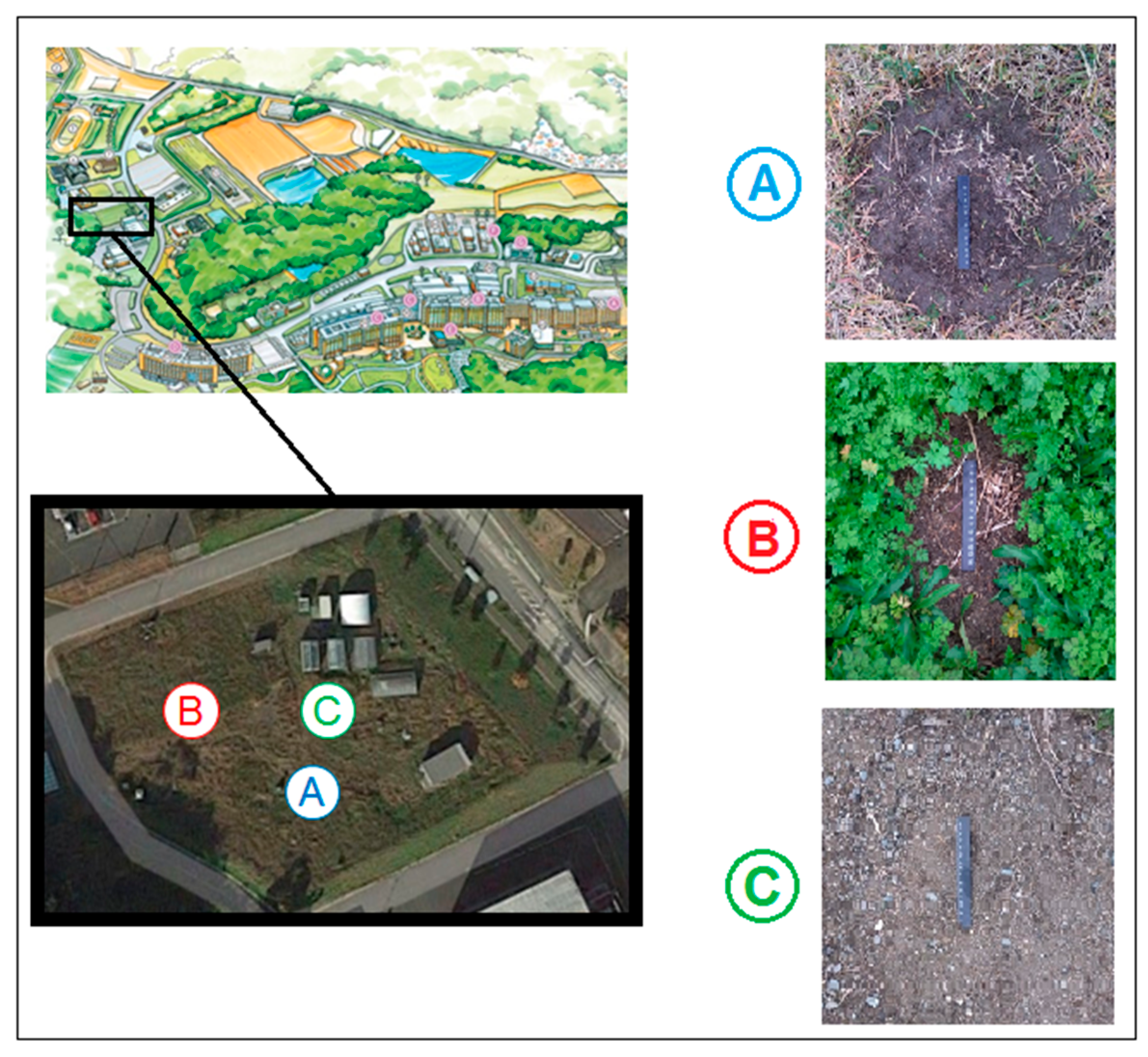 Carbon 07 00034 g001